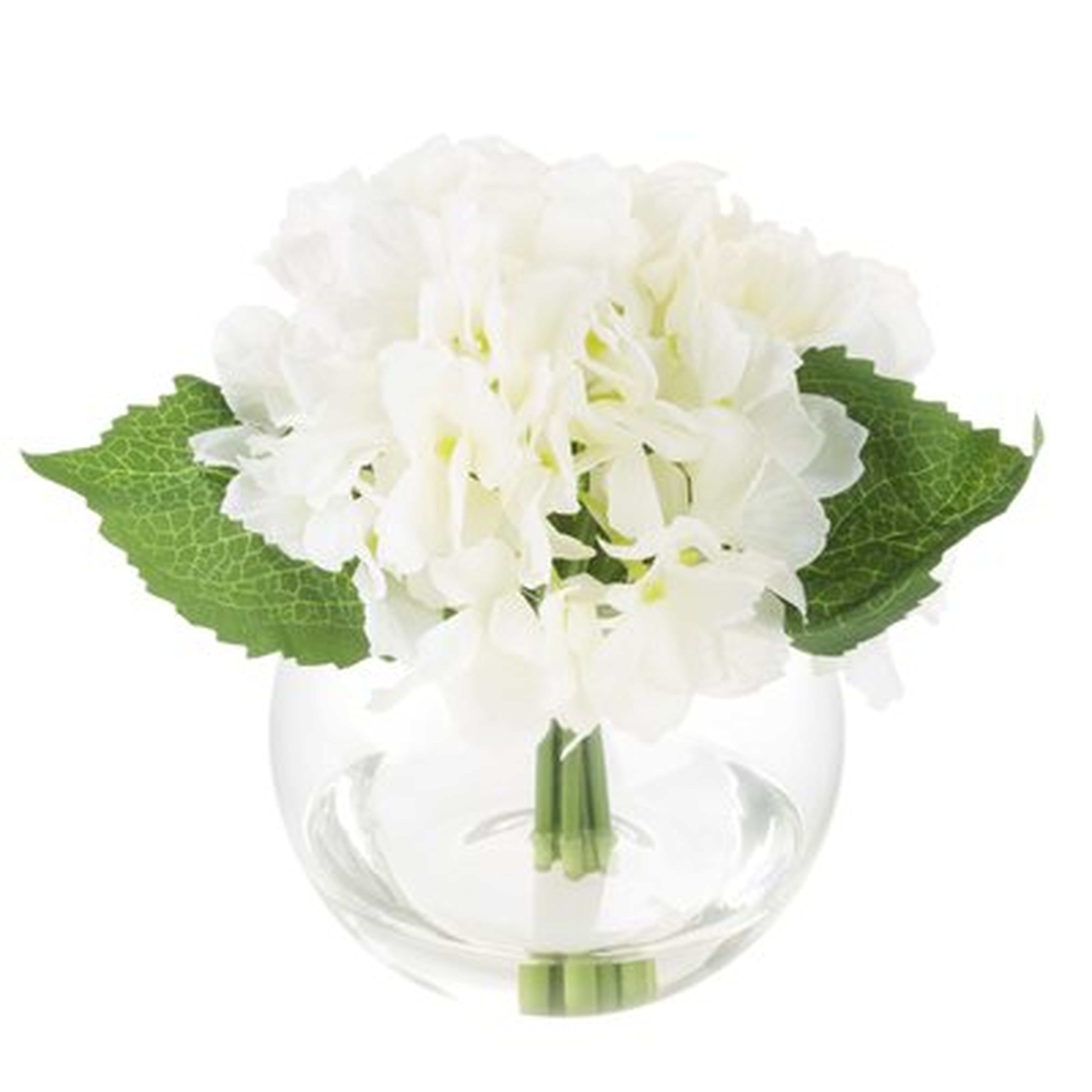 Hydrangeas Floral Arrangement in Glass Vase - Birch Lane