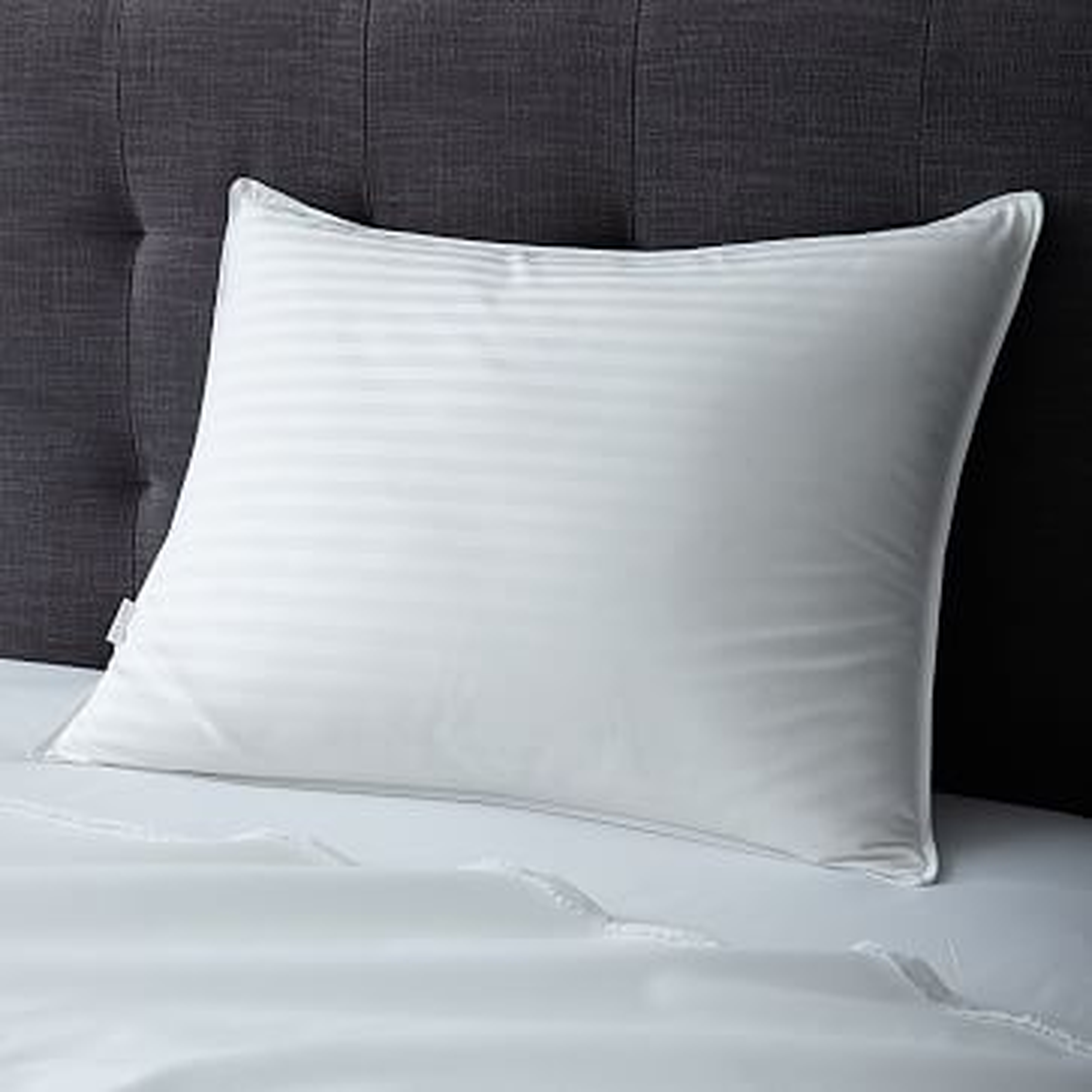 Premium White Down Pillow Insert, King - West Elm