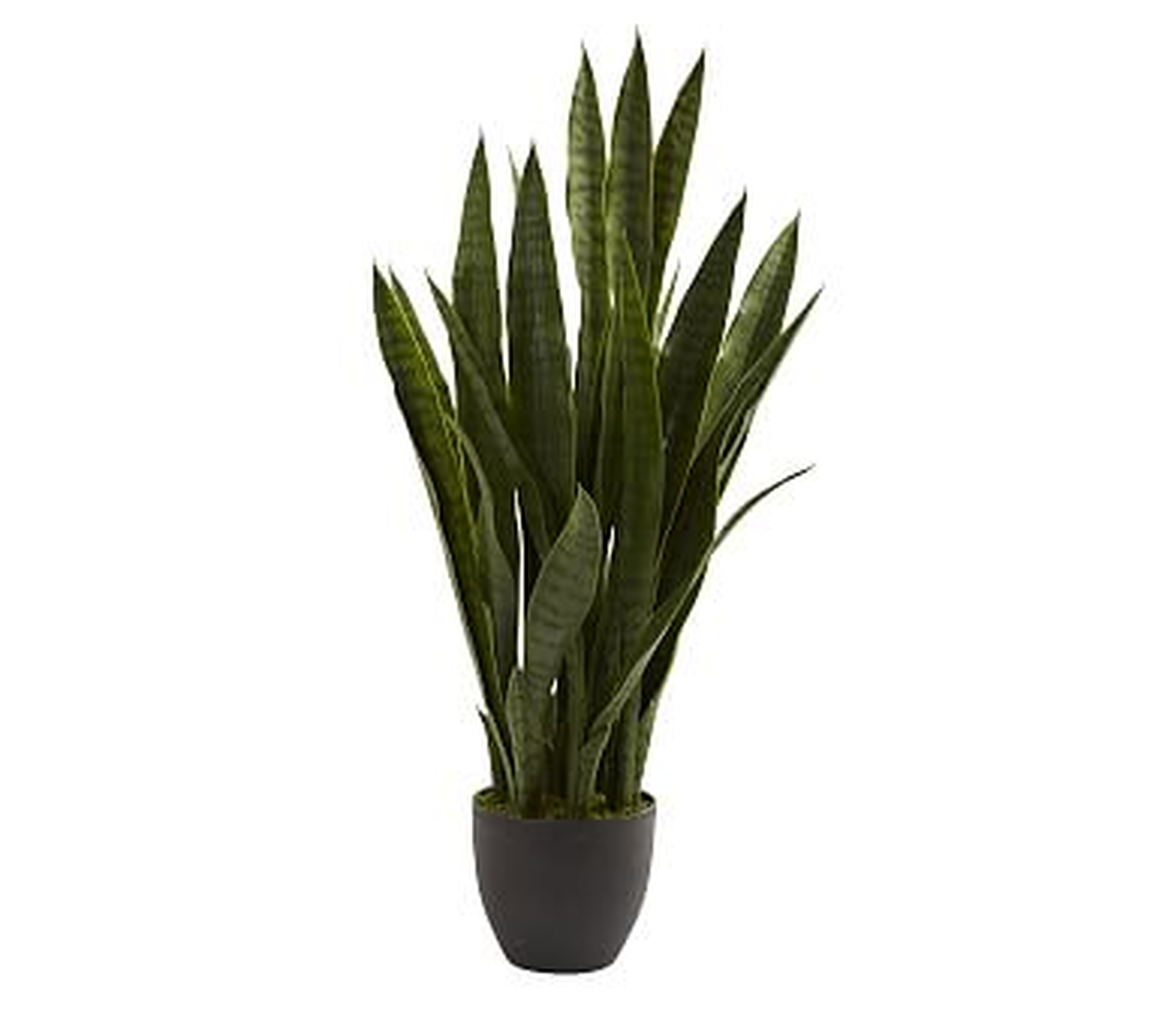 Faux Potted Sansevieria - Pottery Barn