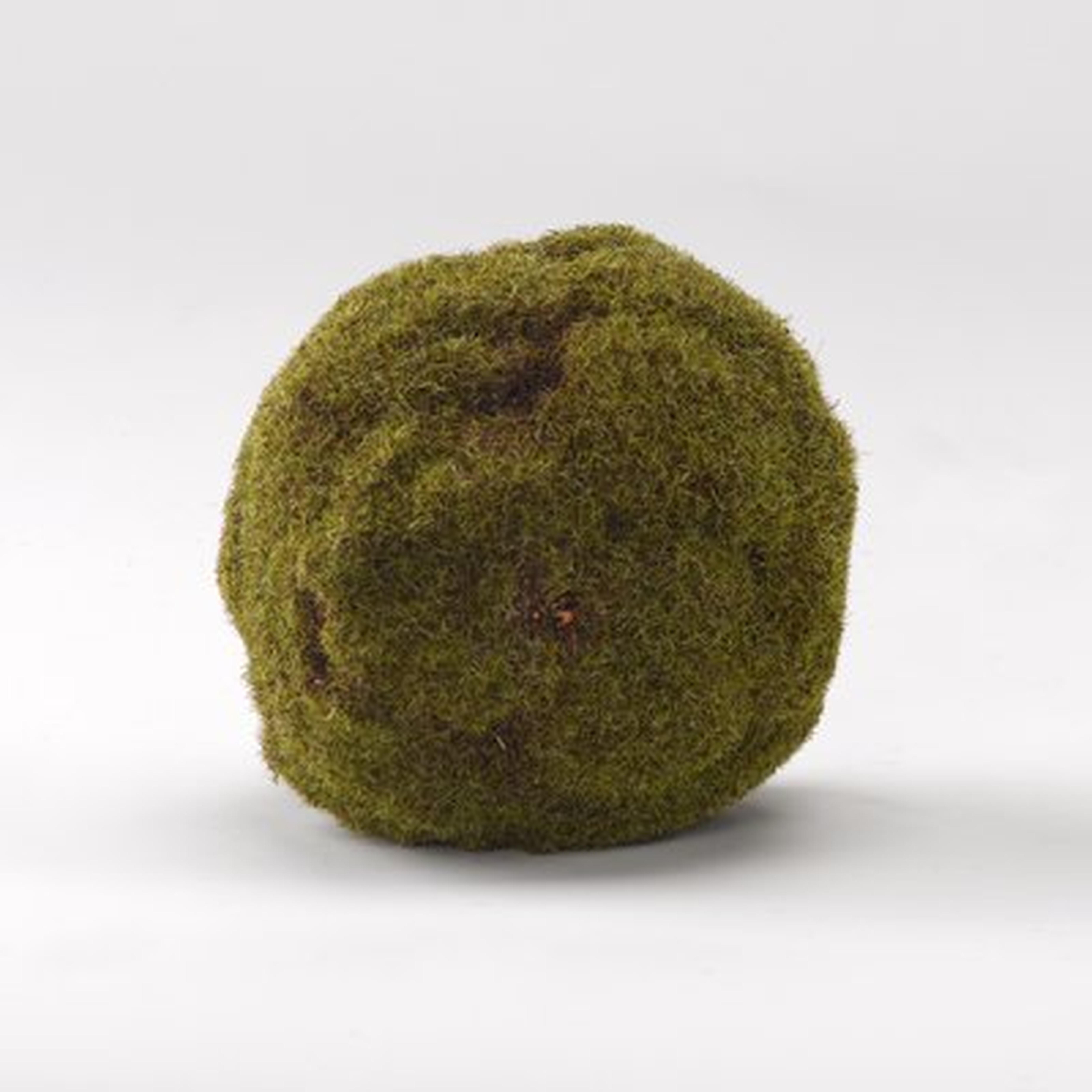 Crackled Moss Ball Plant (Set of 3) - Wayfair