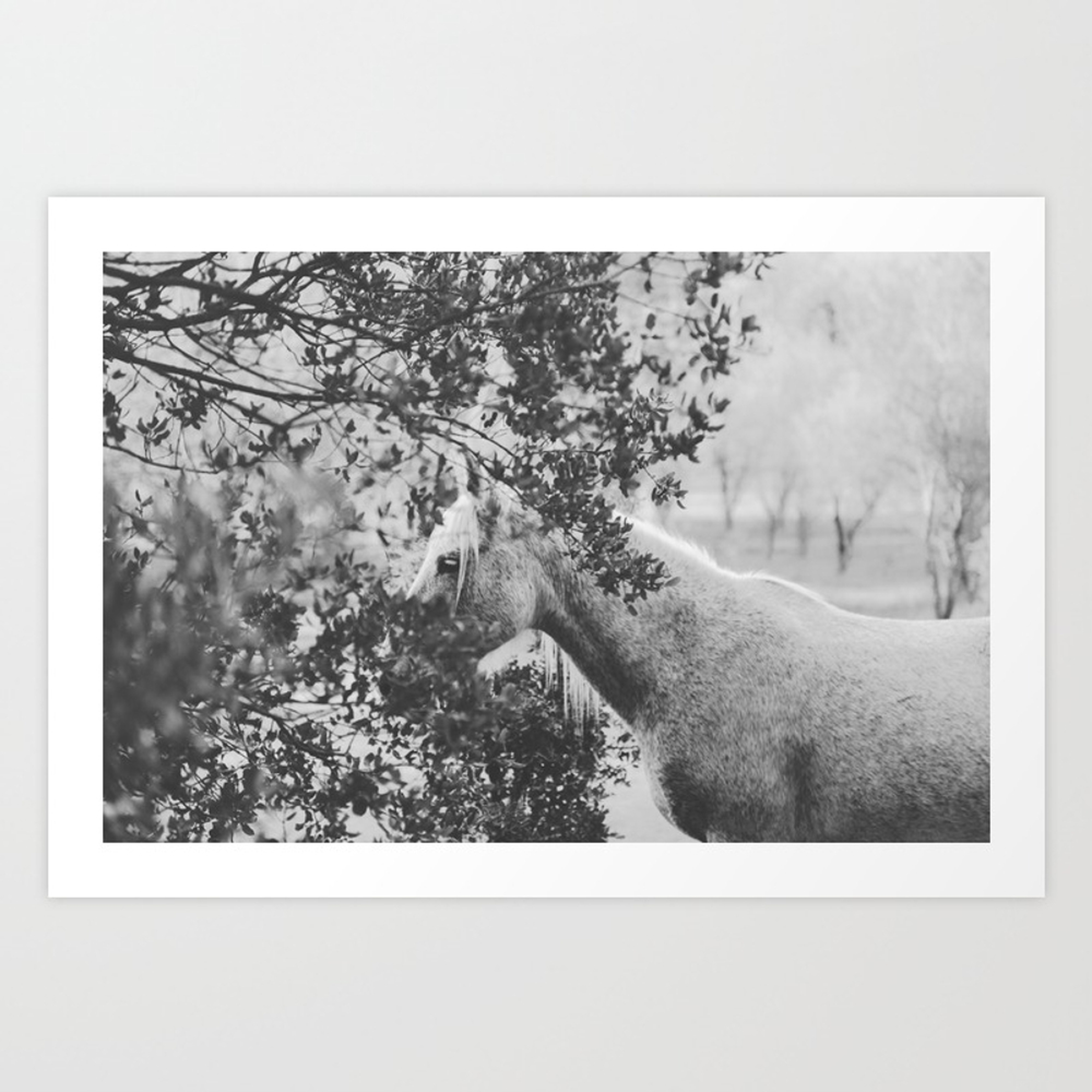 Horse II _ Photography Art Print - X-Large by Speakerine - Society6