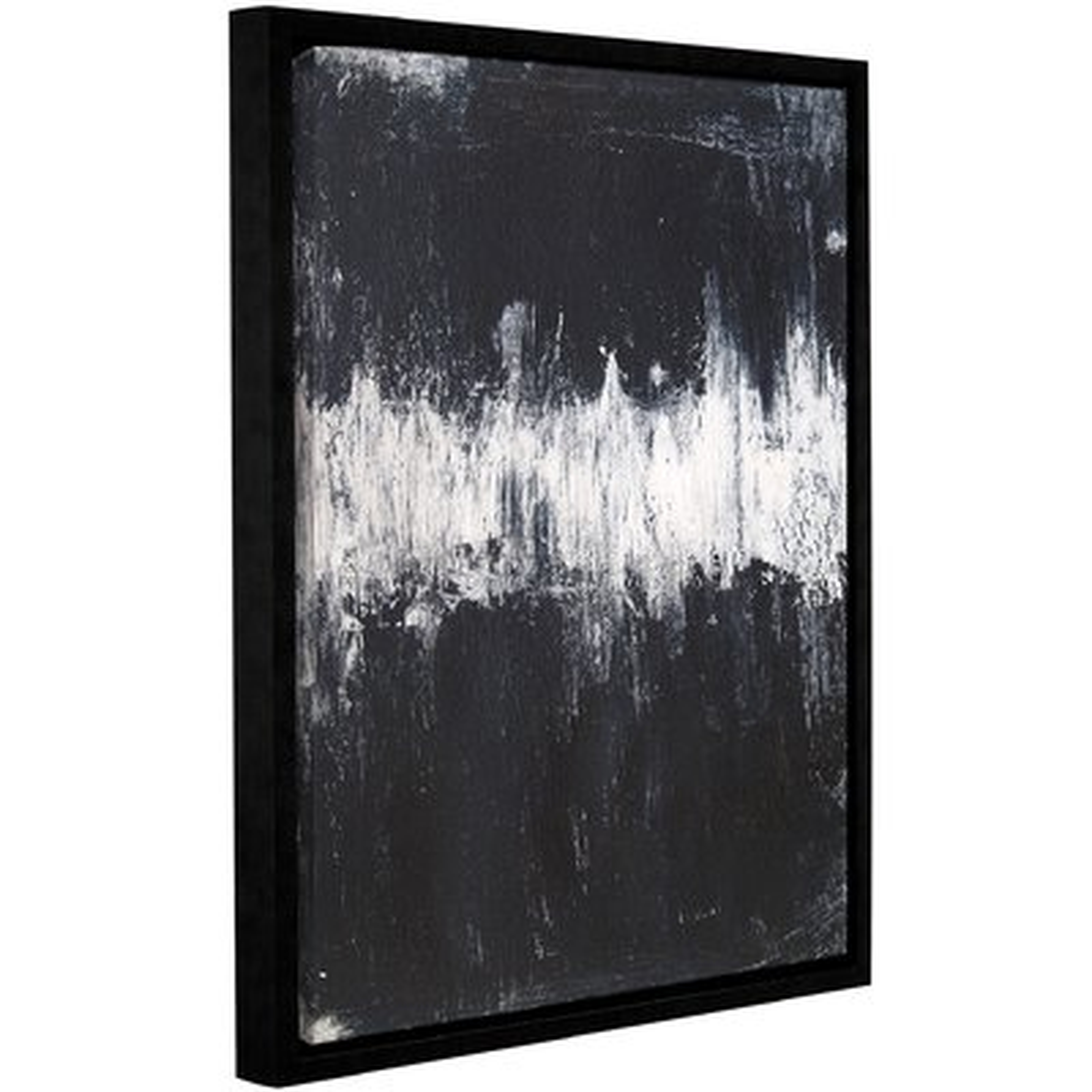 'Black and White IV' Framed Graphic Art Print on Canvas - Wayfair