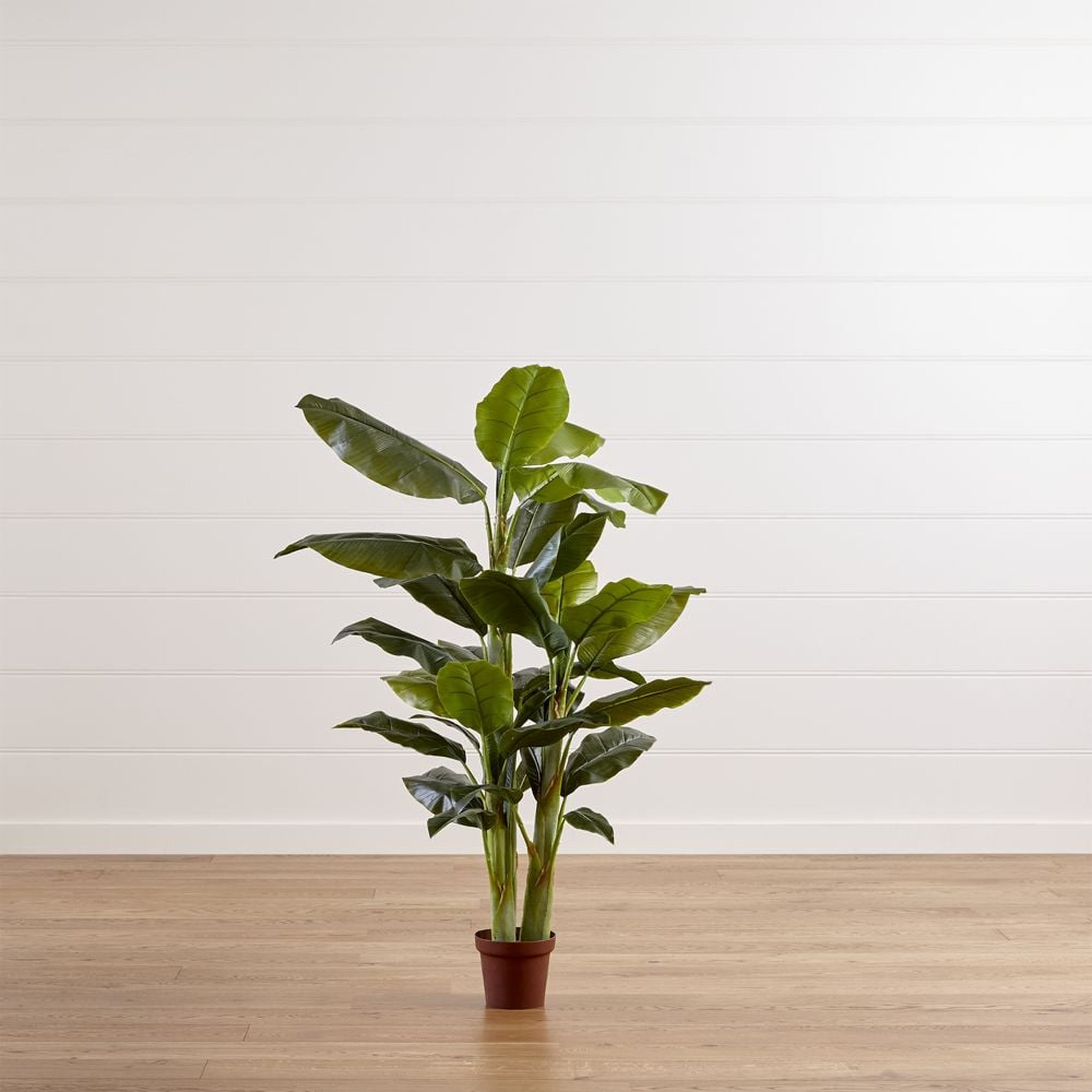 Potted Faux Banana Tree - Crate and Barrel