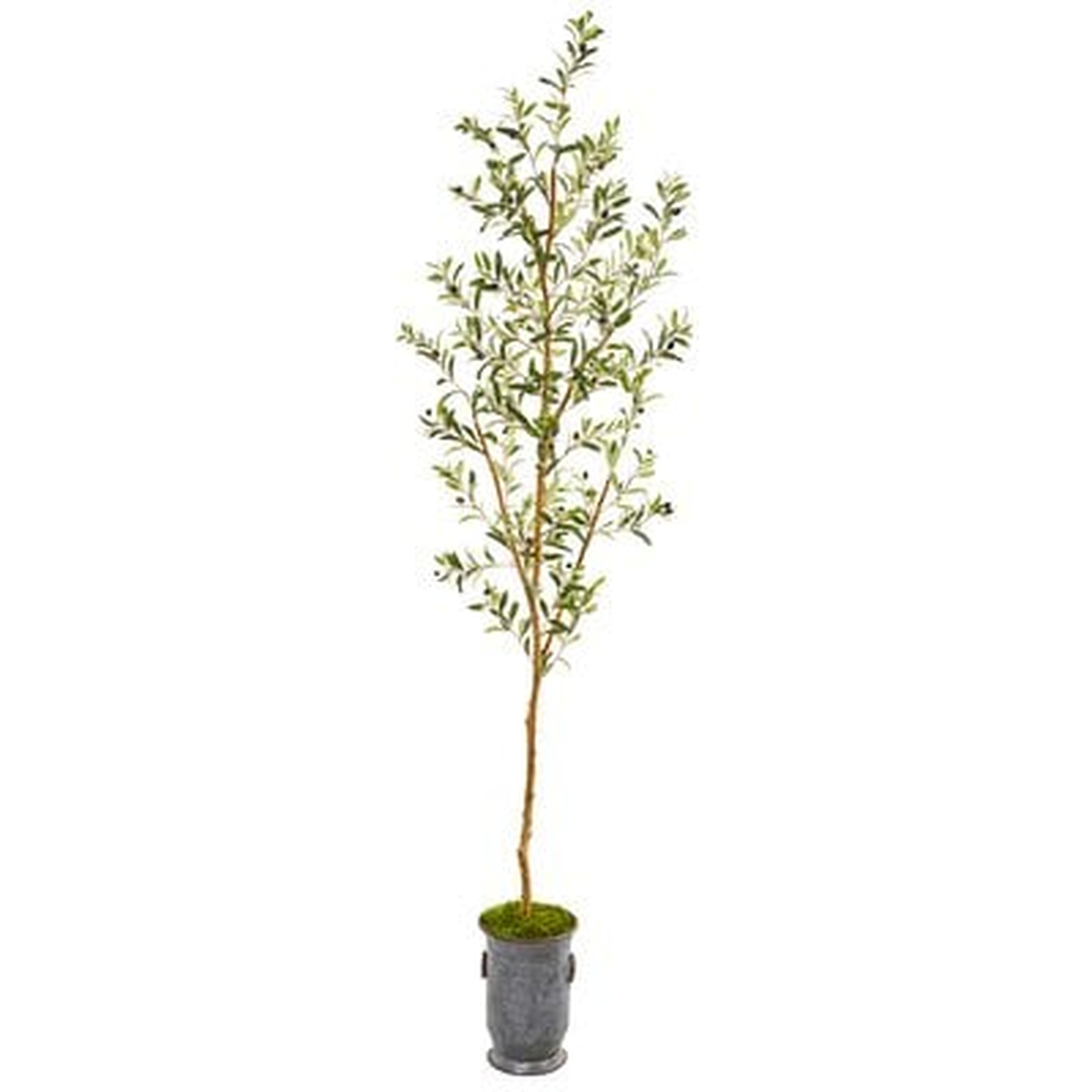 Artificial Olive Tree in Decorative Vase - Wayfair