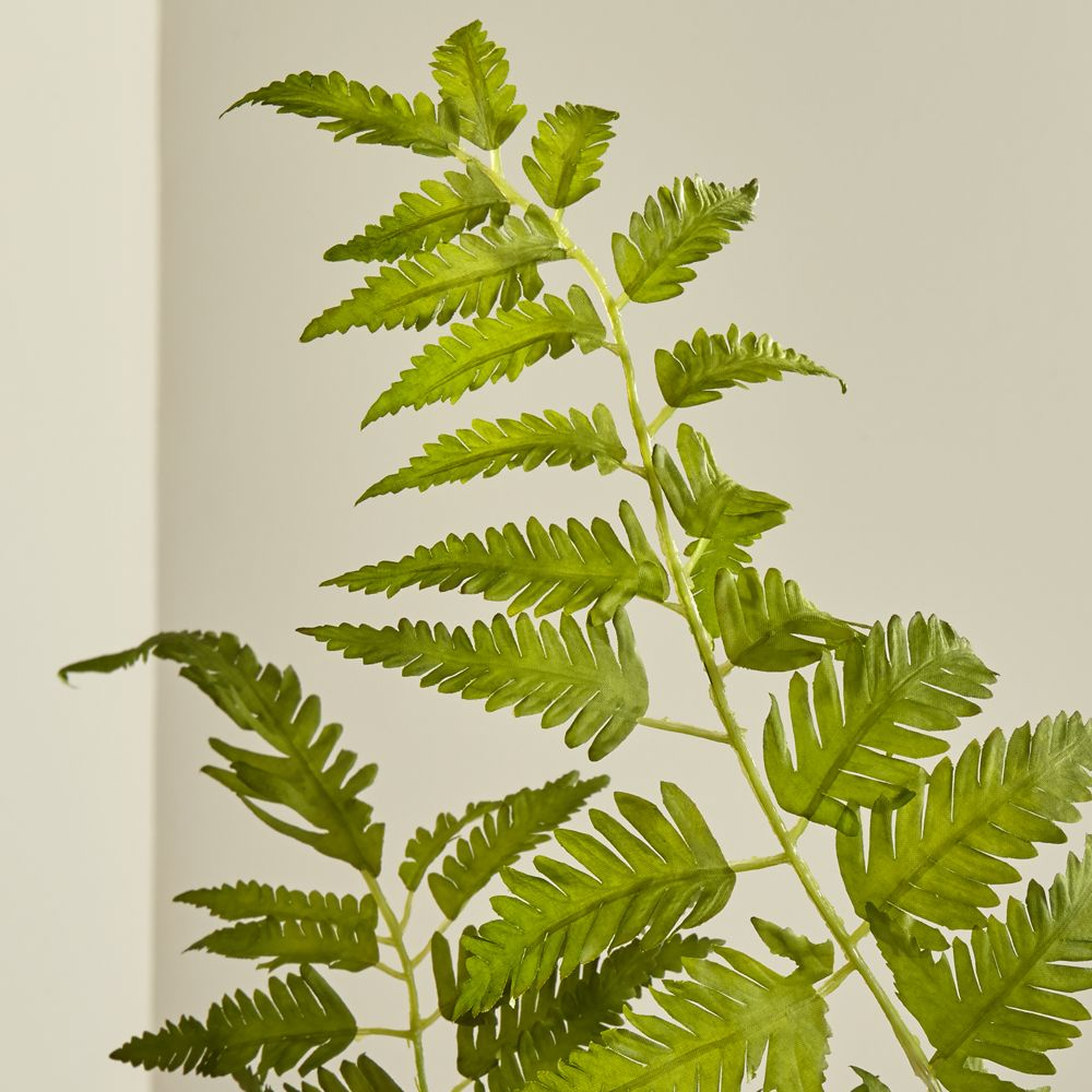 Artificial Fern Spray - Crate and Barrel