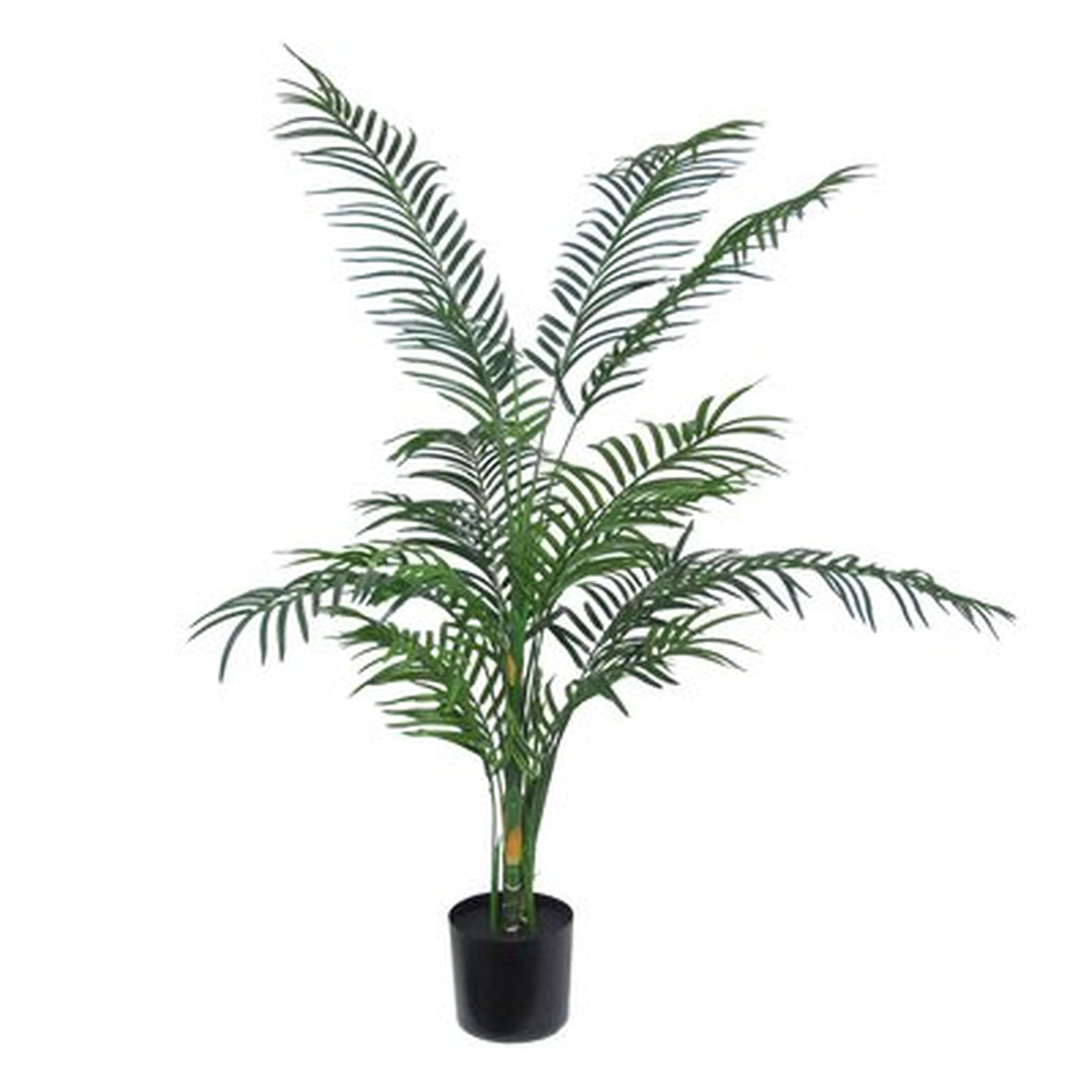 Faux Bamboo Reed Palm Tree in Planter, 58" - Wayfair