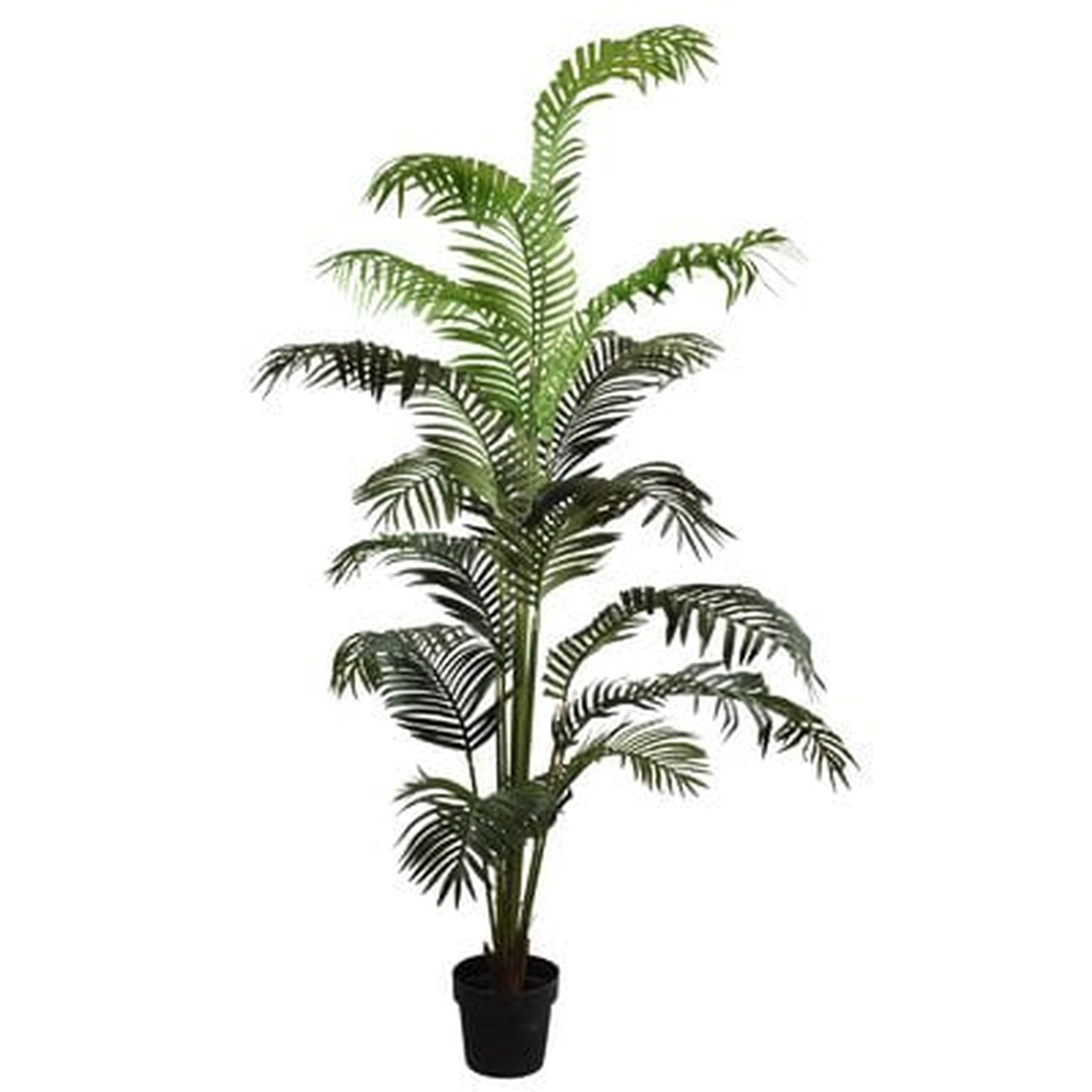 Palm Tree in Pot - Wayfair