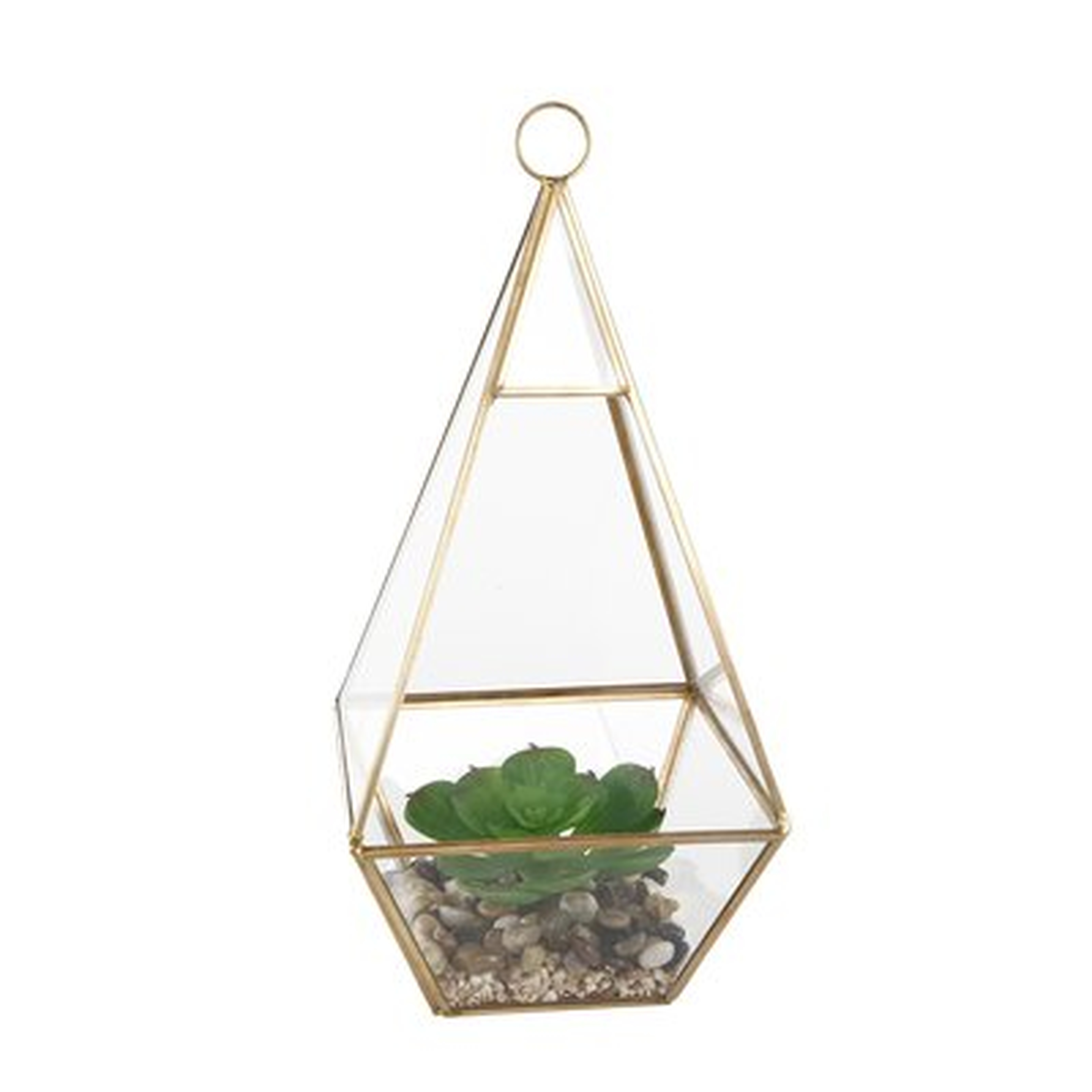 Hanging Succulent Plant in Glass Tri Terrarium - Wayfair