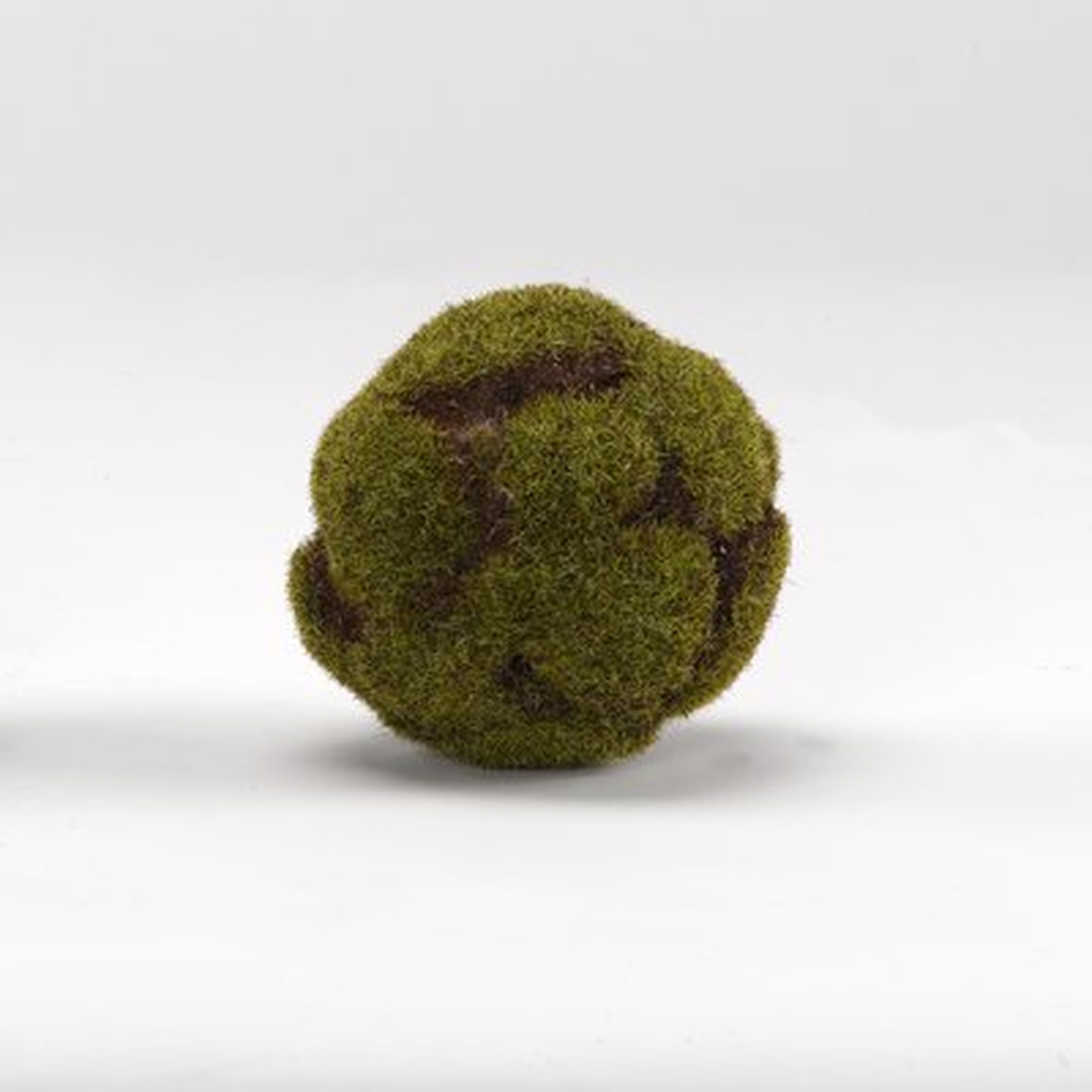 Crackled Moss Ball Plant, Set of 3 - Wayfair