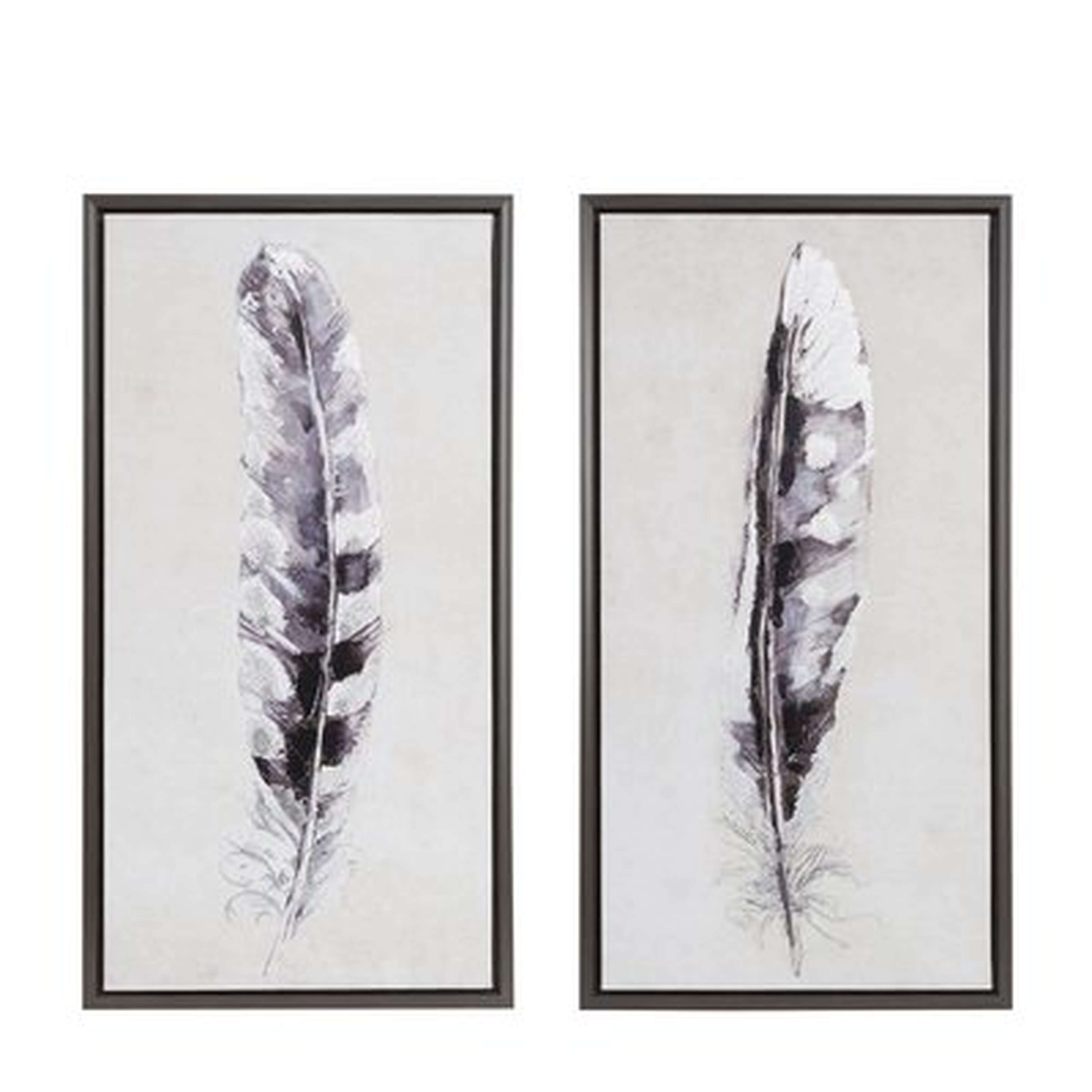'Flight Feathers' 2 Piece Framed Graphic Art Print Set on Canvas - Wayfair