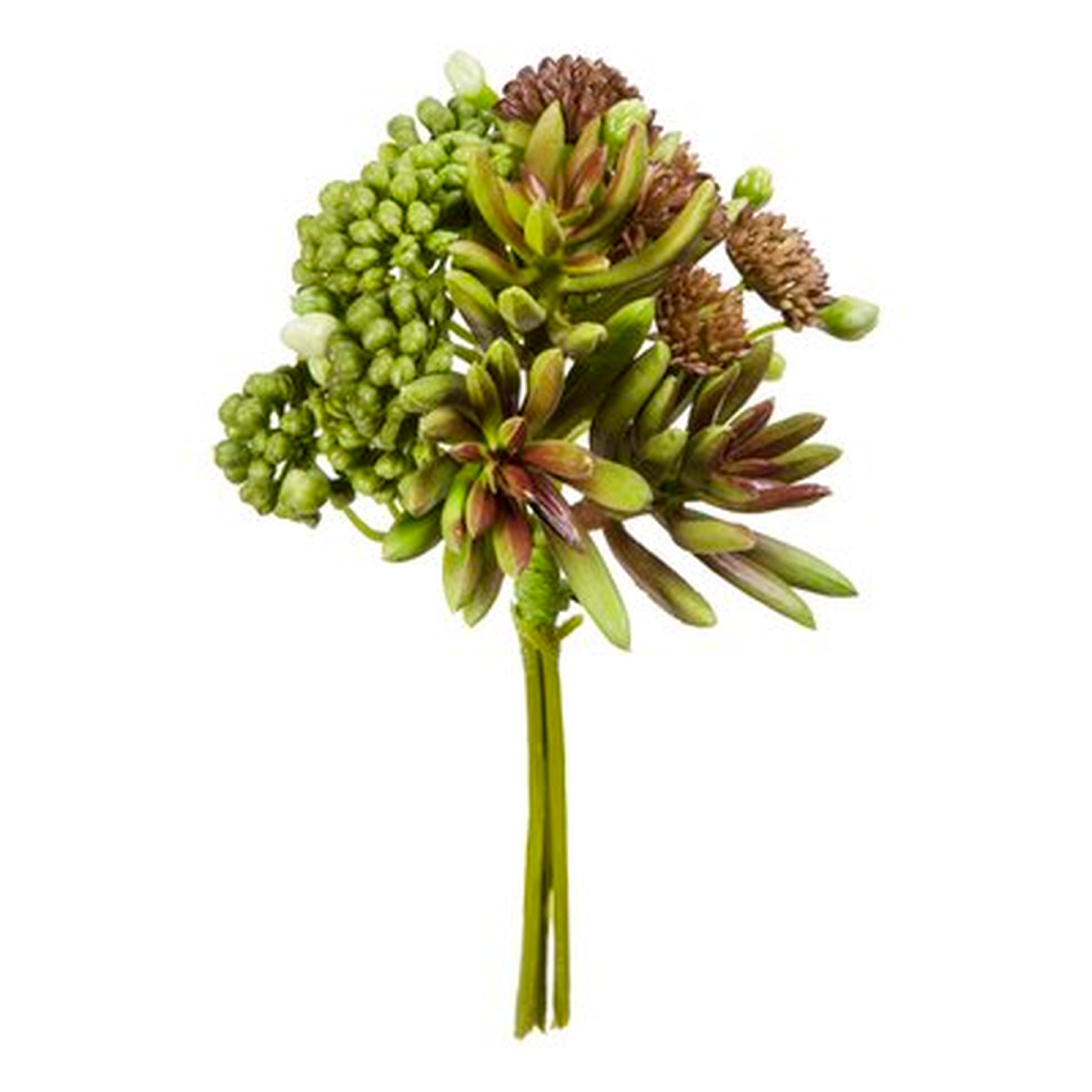 Faux Succulent Bundle Floral Arrangement - Wayfair
