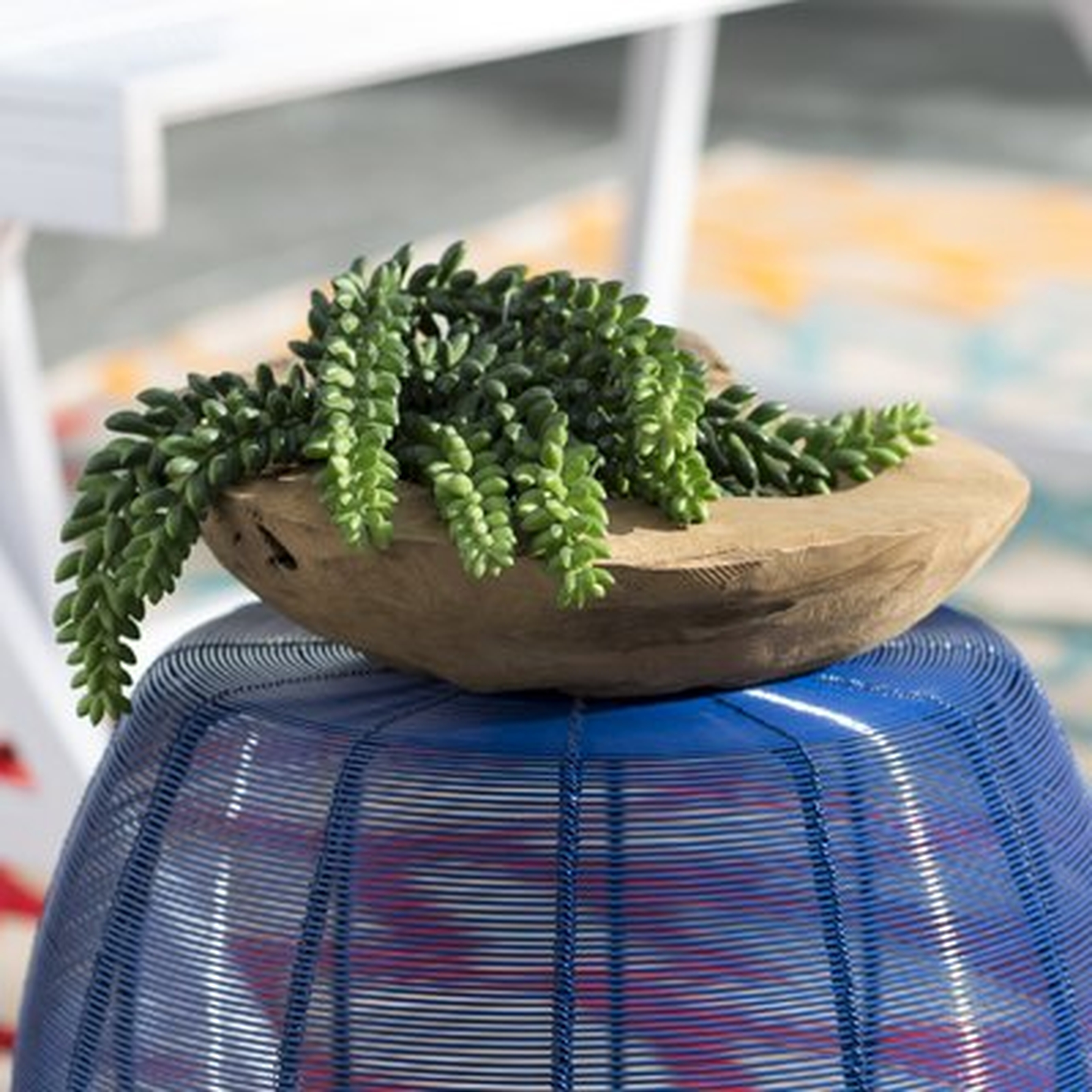 Plastic Artificial Succulent Donkey's Tail Plant - Wayfair