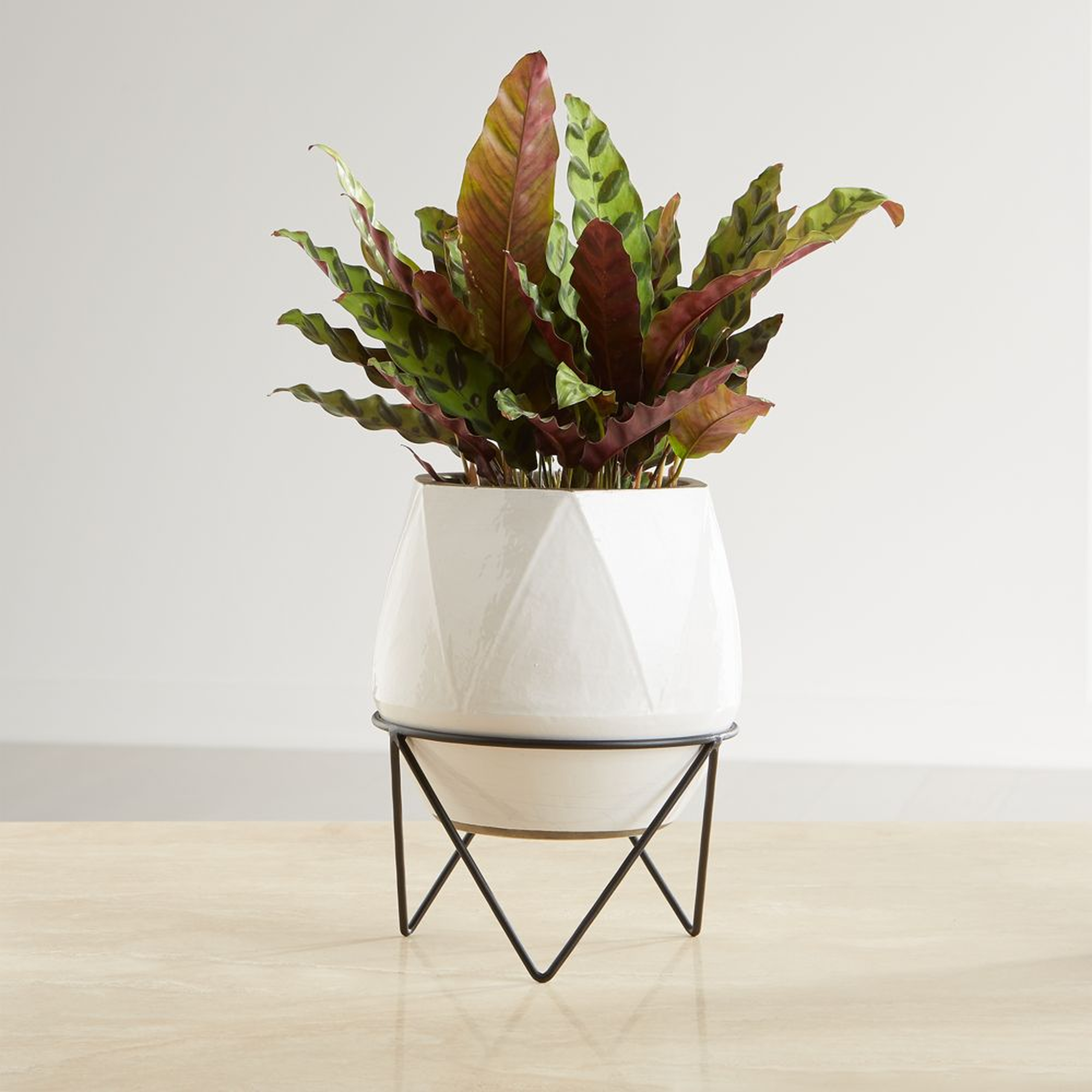 Aaro Medium Geo Planter with Stand - Crate and Barrel