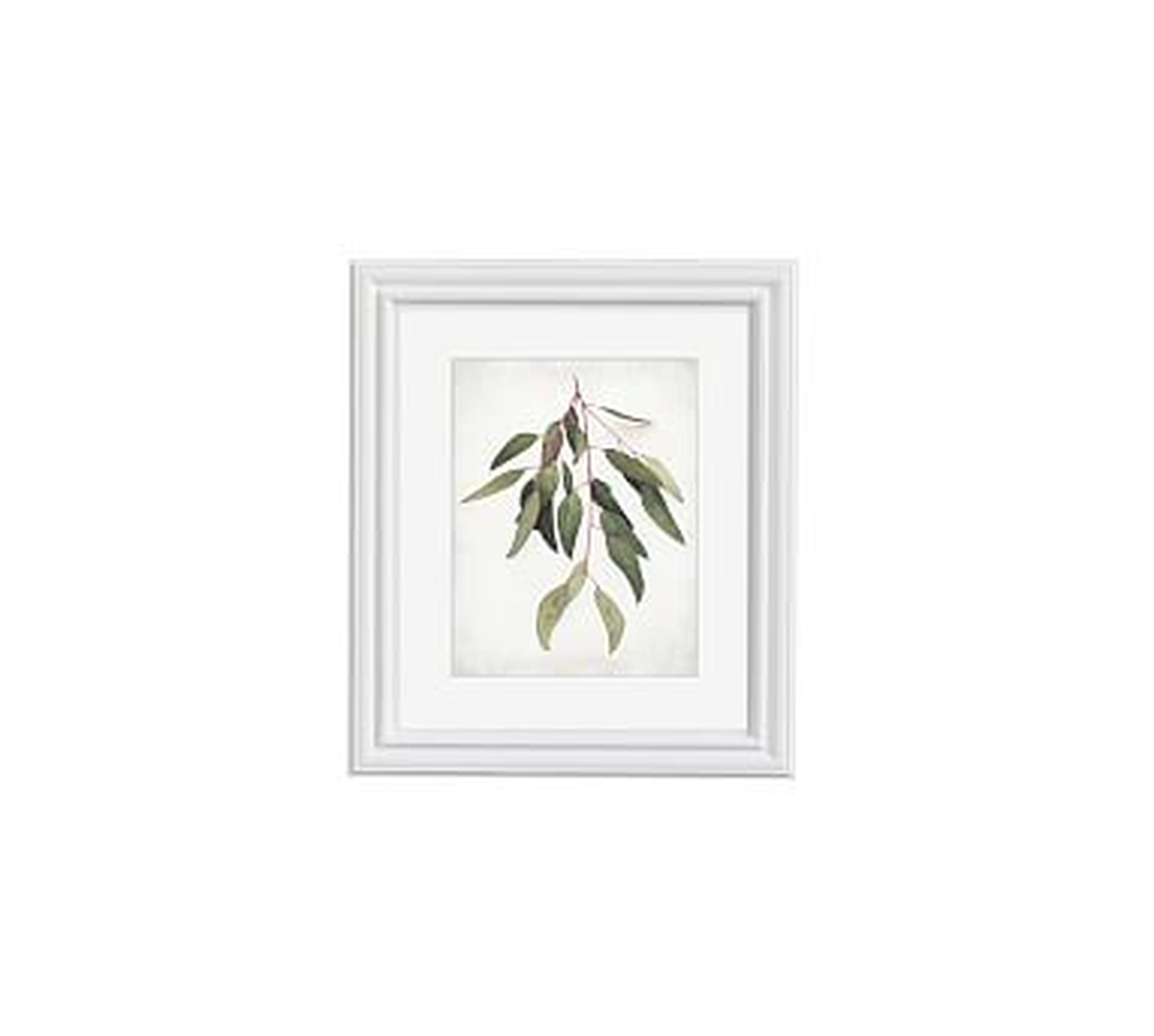 Eucalyptus Sprig Framed Print by Lupen Grainne, 13x11", Ridged Distressed Frame, White, Mat - Pottery Barn