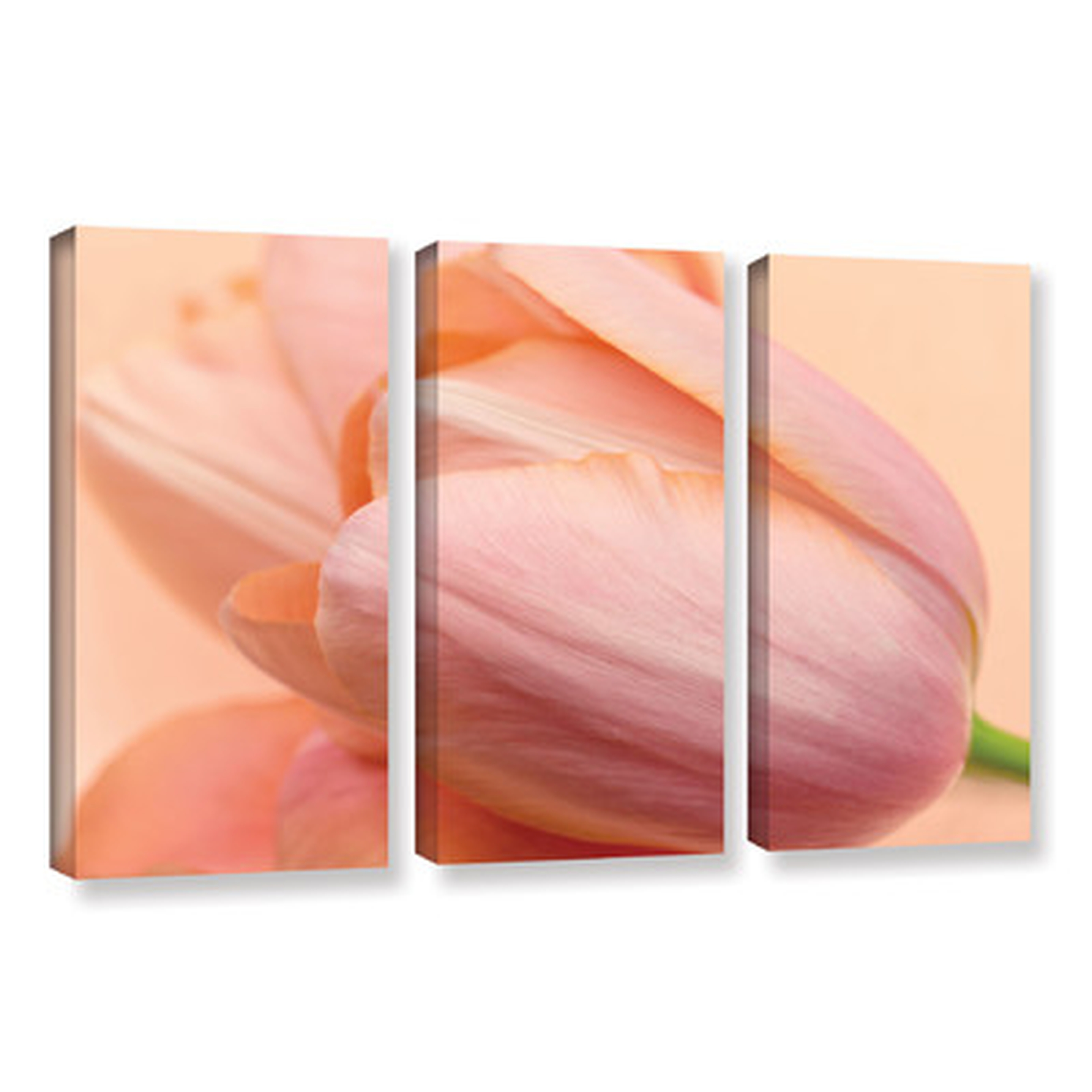 Silky Tulips 3 Piece Photographic Print on Wrapped Canvas Set - Wayfair