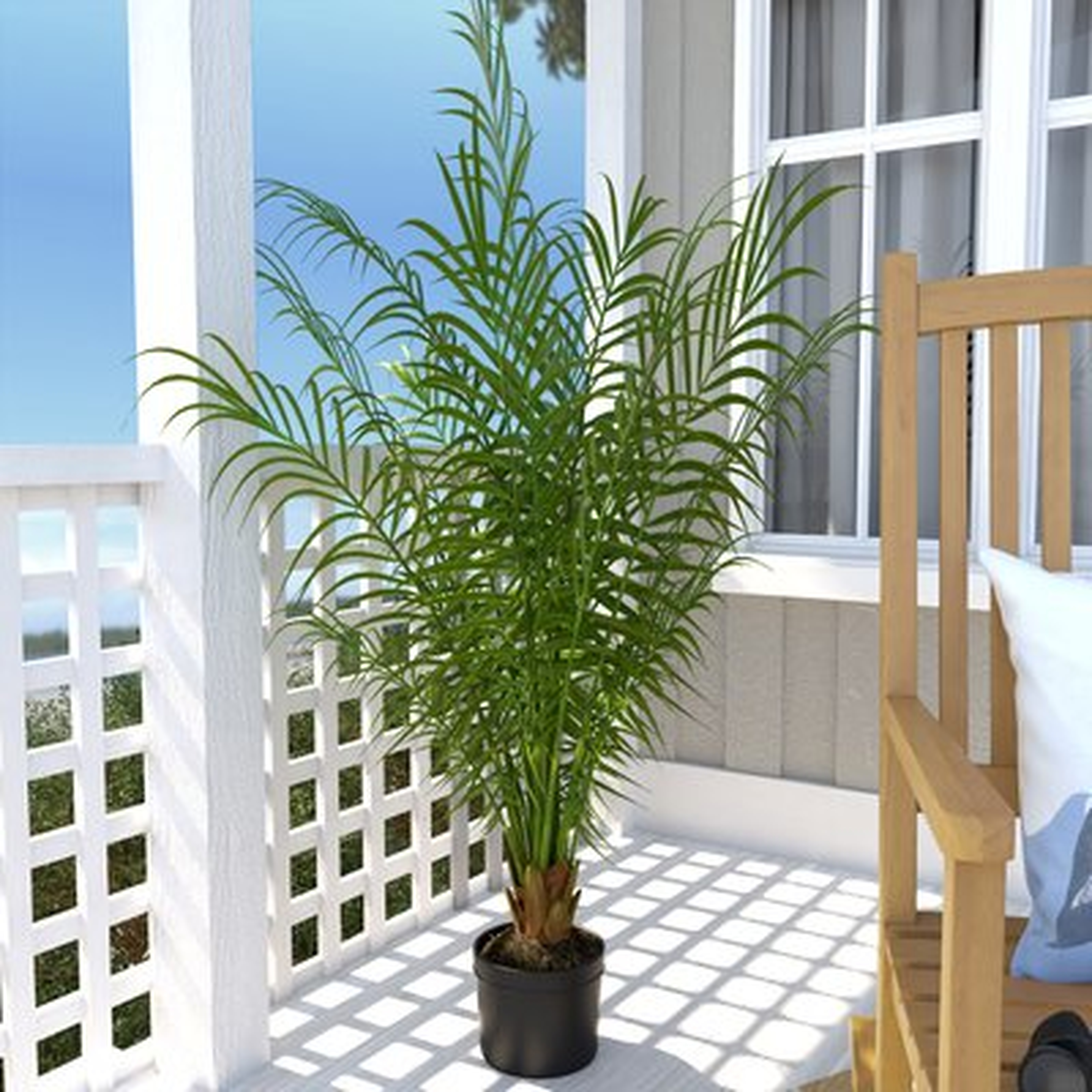 Silk Areca Palm Tree in Pot - Wayfair