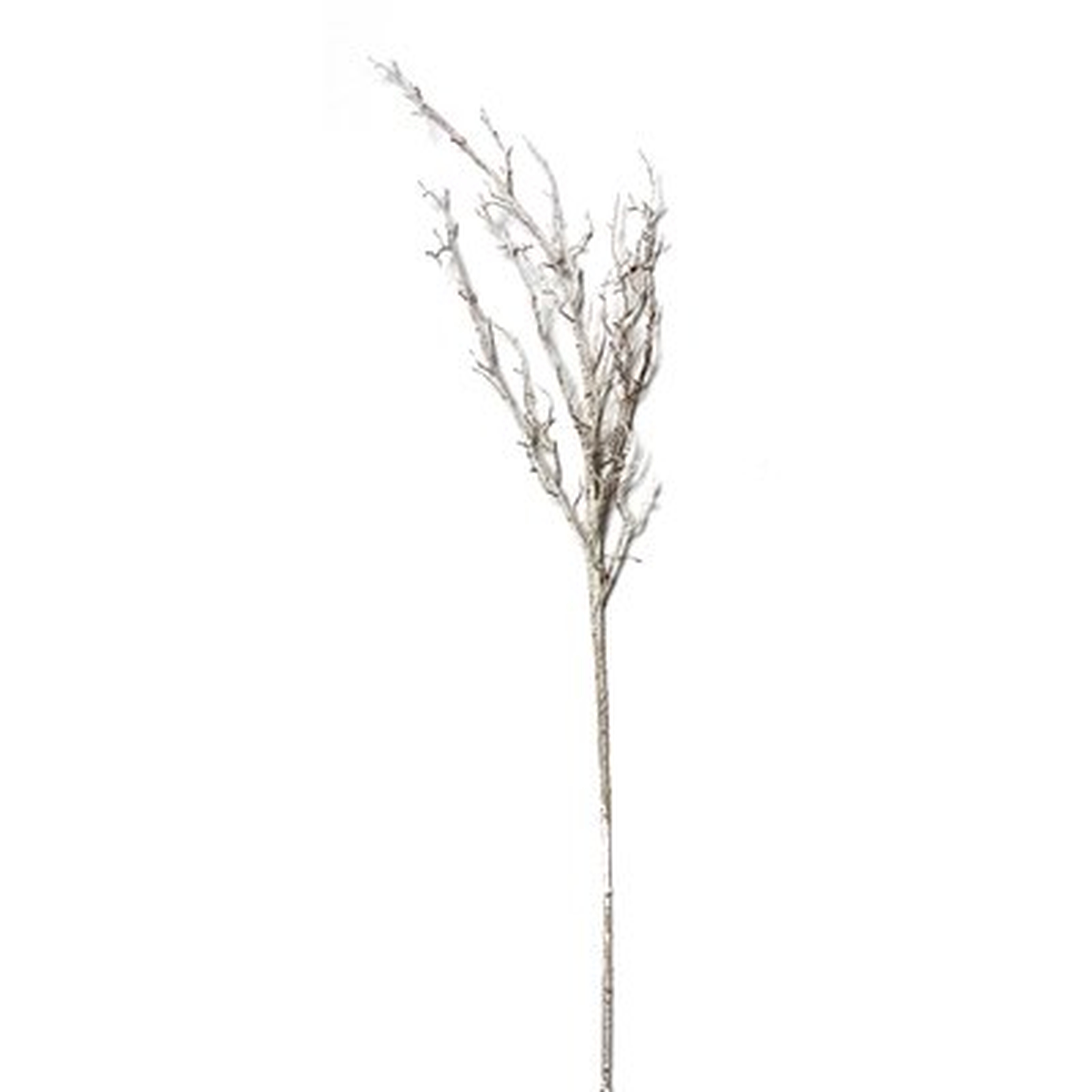Twig Branch (Set of 2) - Wayfair