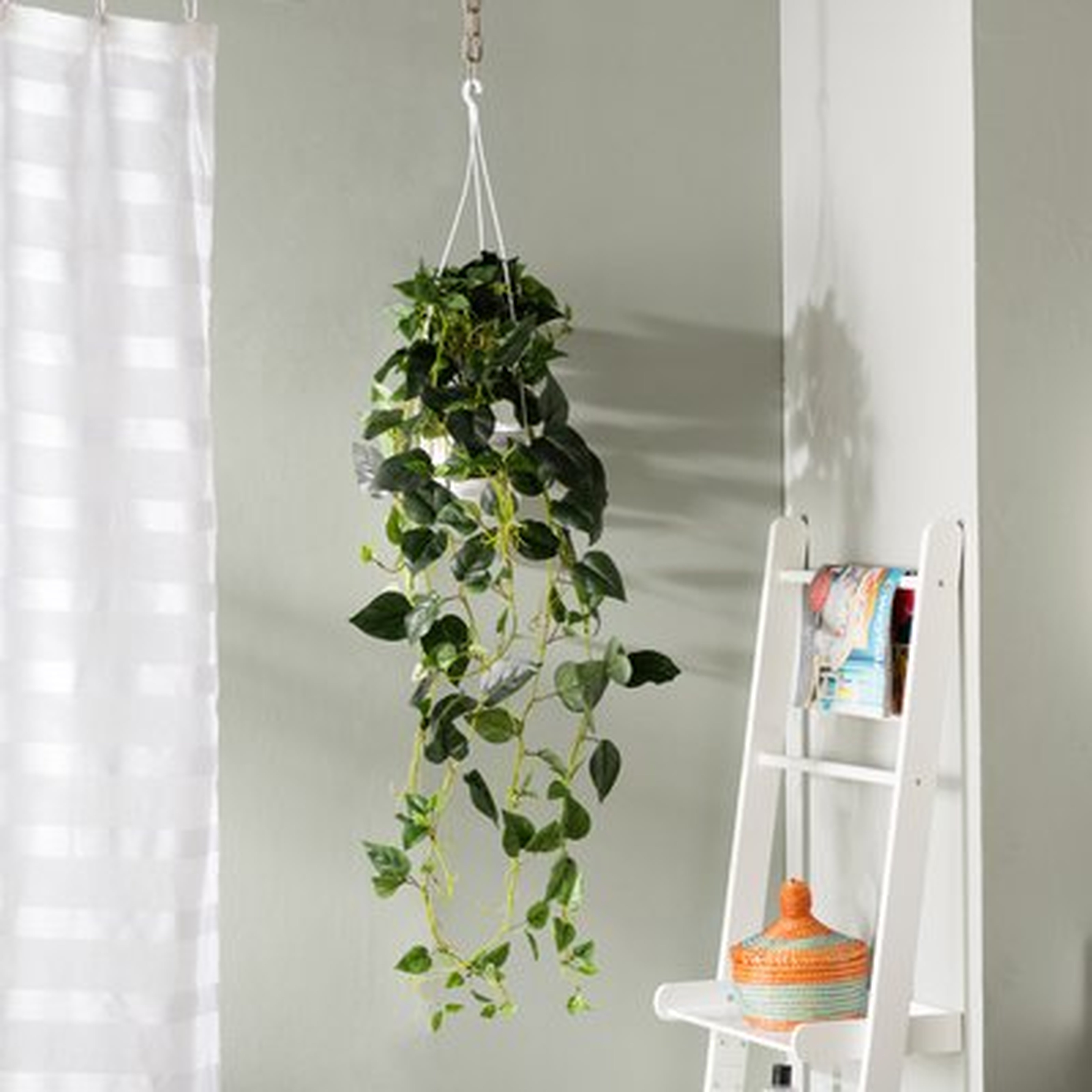Philodendron Silk Hanging Plant in Basket - Wayfair