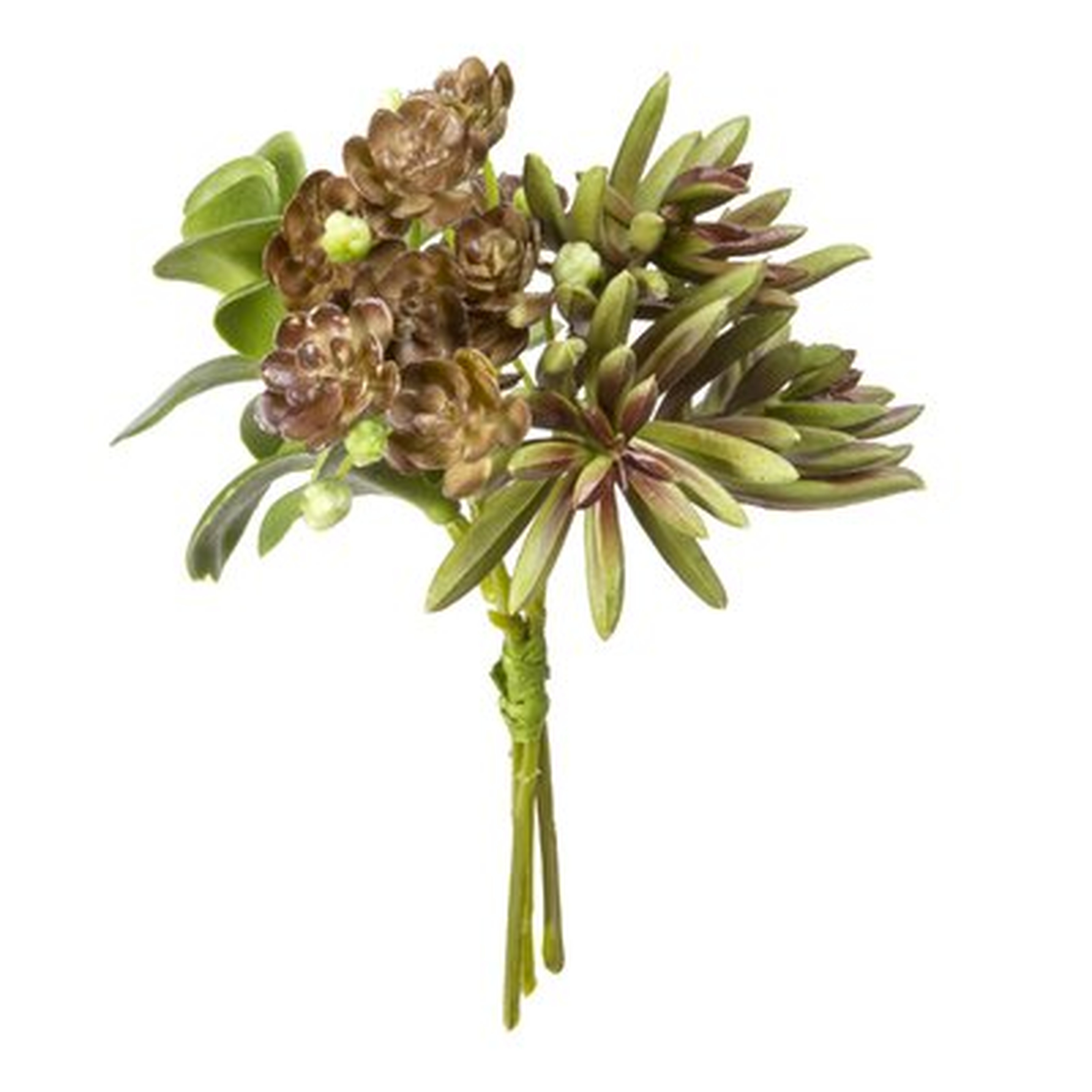 Faux Succulent Bundle Floral Arrangement - Wayfair