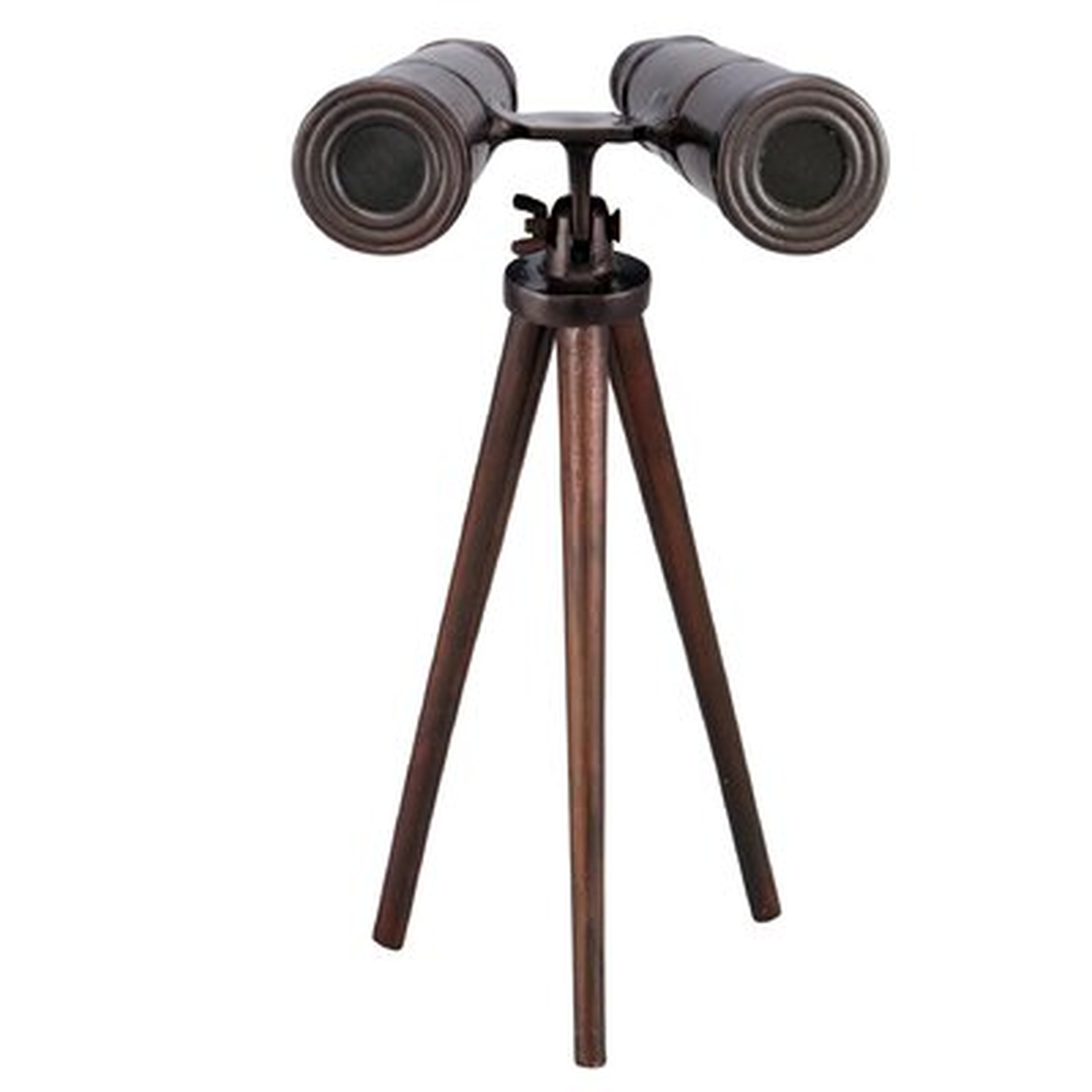 Arambula Binoculars Bronze - Wayfair