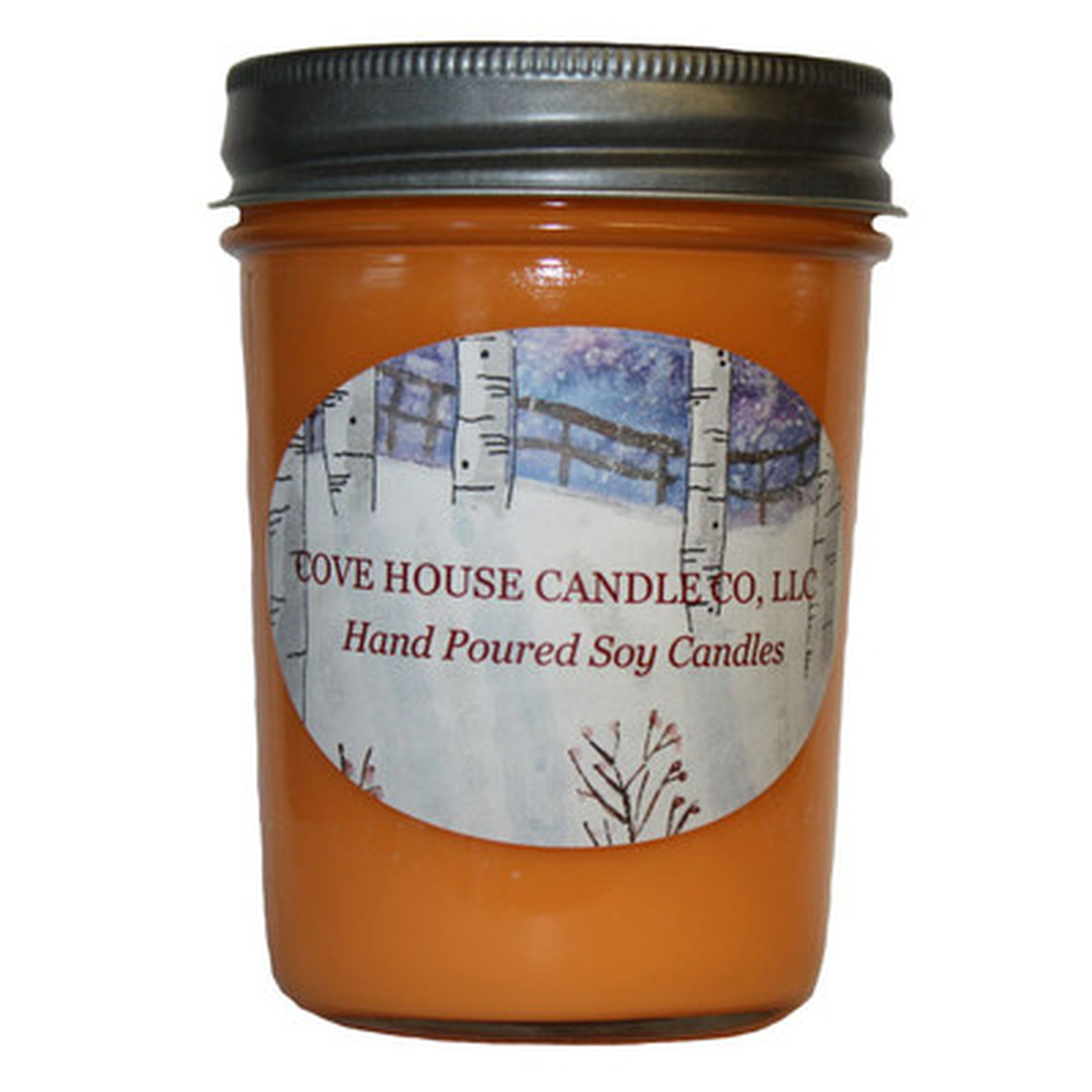 Orange Clove Jar Candle - Wayfair