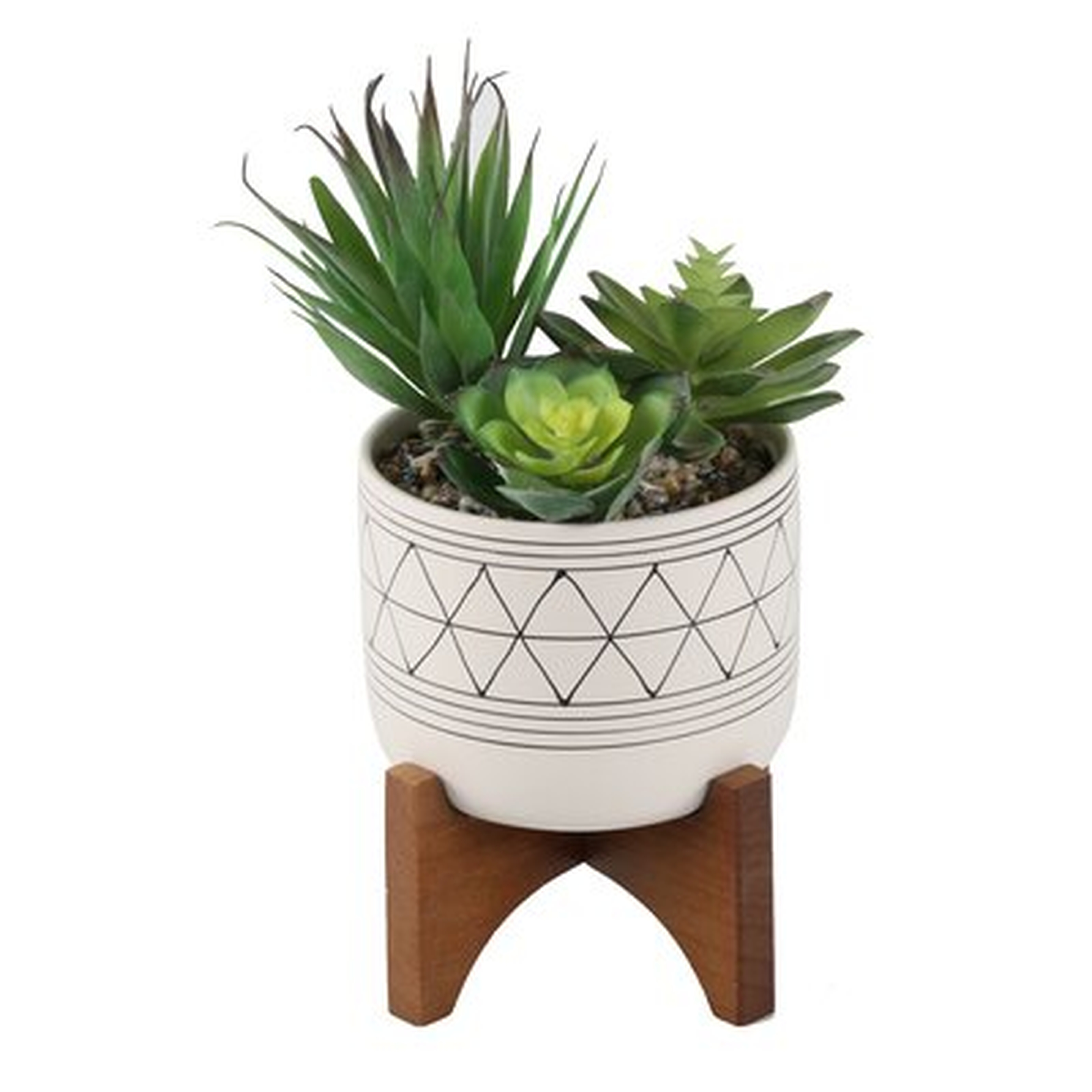 10.125'' Faux Cactus Succulent in Ceramic Pot - Wayfair