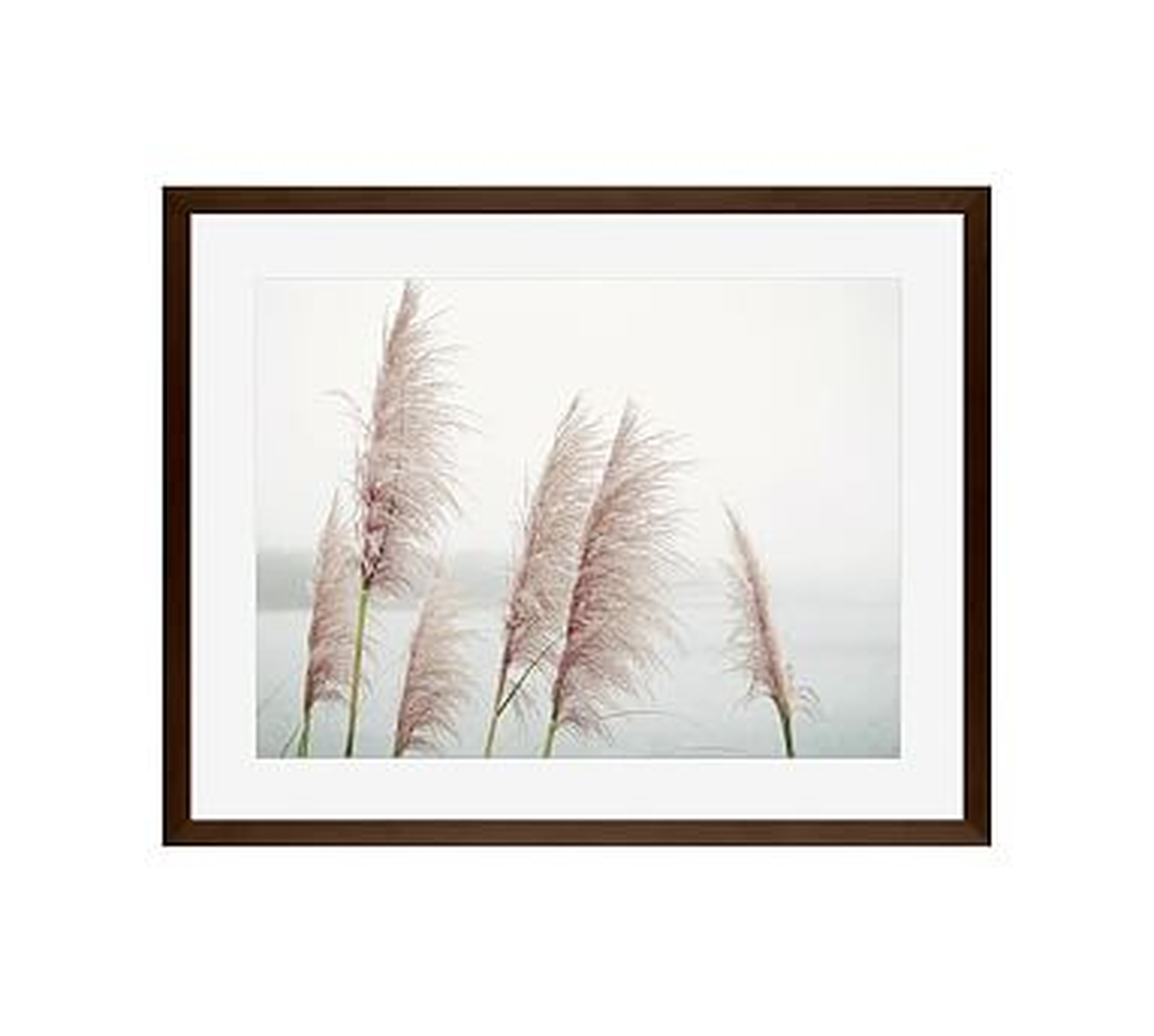 Wild Pampas by Lupen Grainne, 20 x 16", Wood Gallery, Frame, Espresso, Mat - Pottery Barn