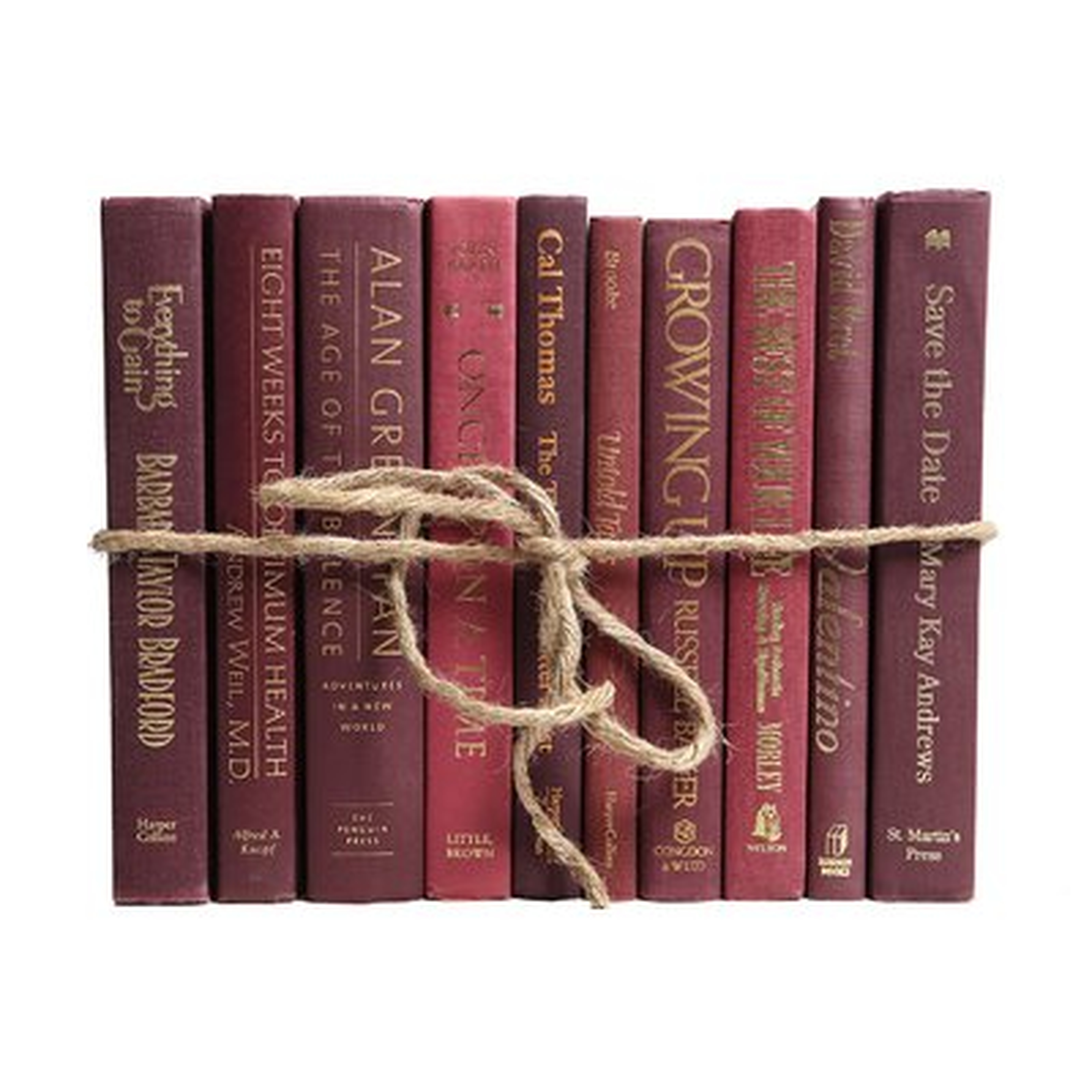 Authentic Decorative Books - By Color Modern Bordeaux ColorPak (1 Linear Foot, 10-12 Books) - Wayfair