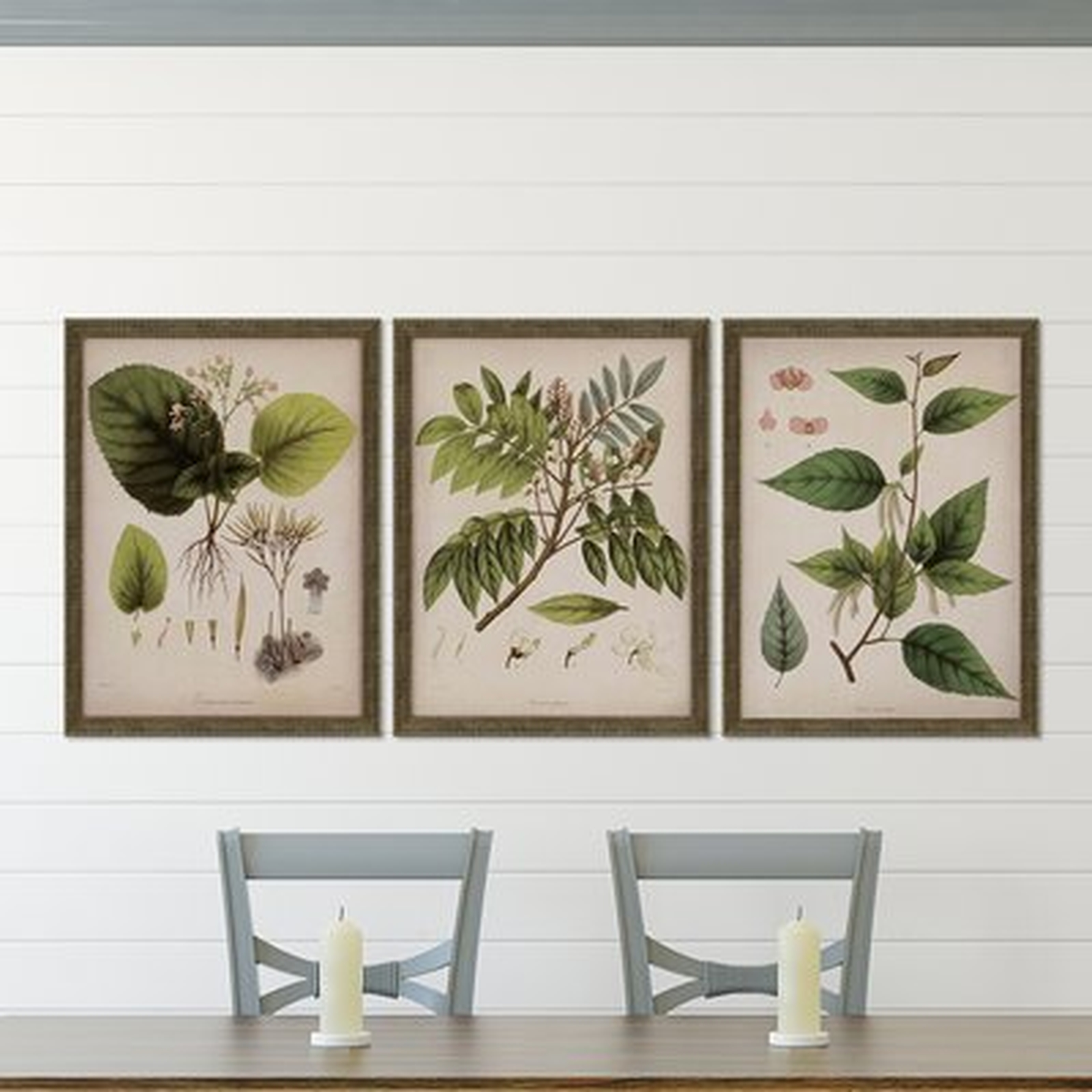 Plants I by Mendez - 3 Piece Picture Frame Graphic Art Print Set on Paper - Birch Lane