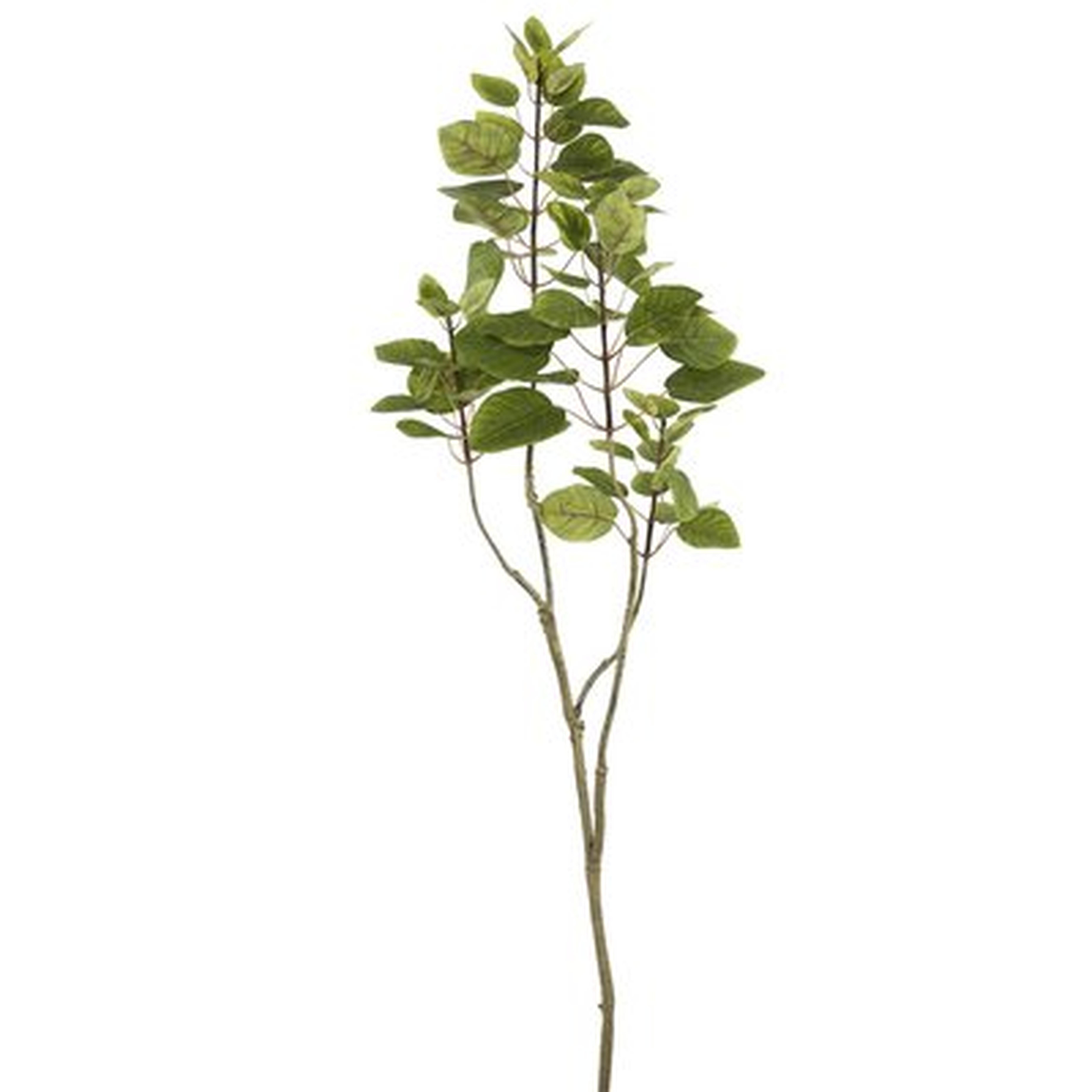 Artificial Cotinus Coggygria Folia Branch - Wayfair