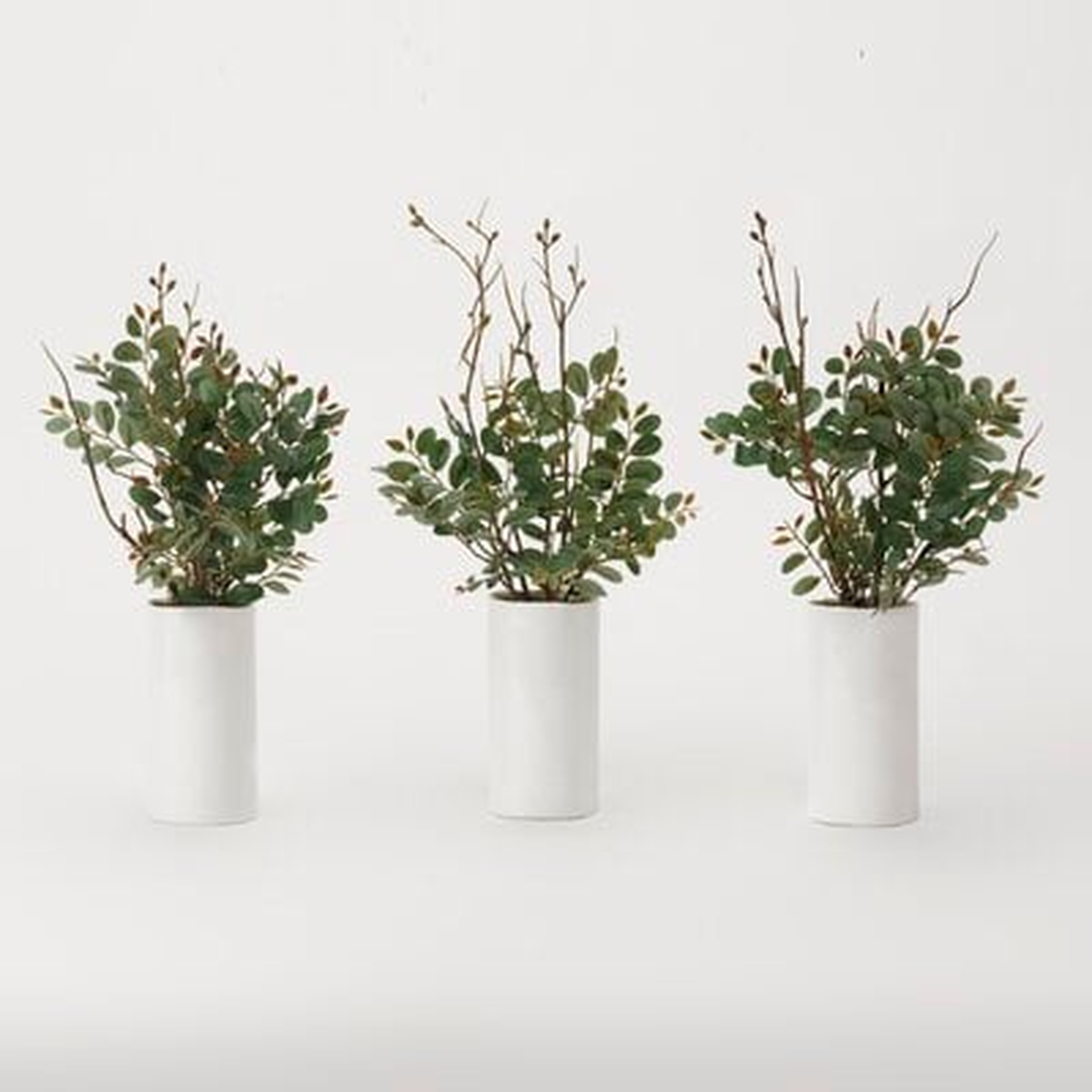 Pistachio Plant in Decorative Vase - Wayfair