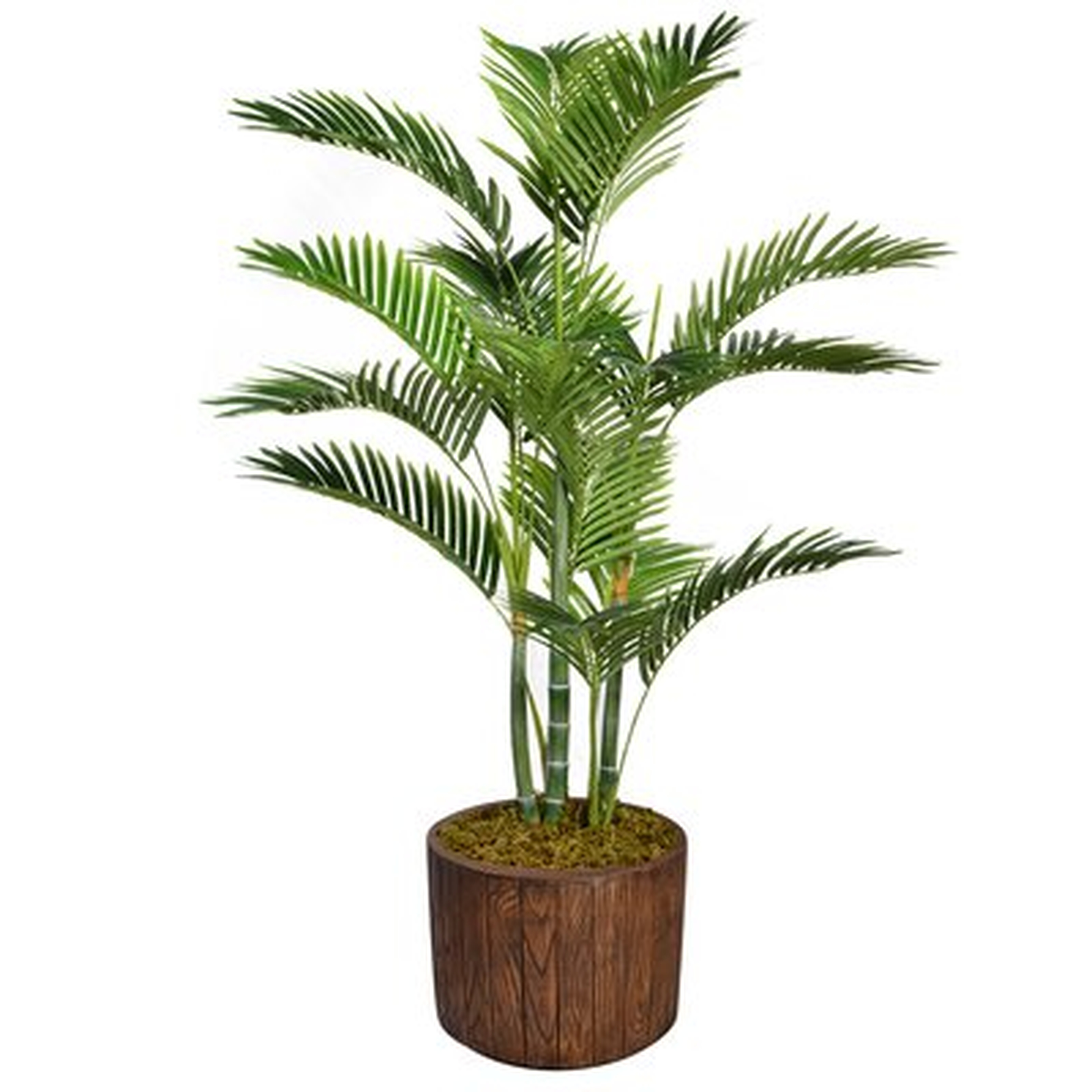 Floor Palm Tree in Planter - Wayfair