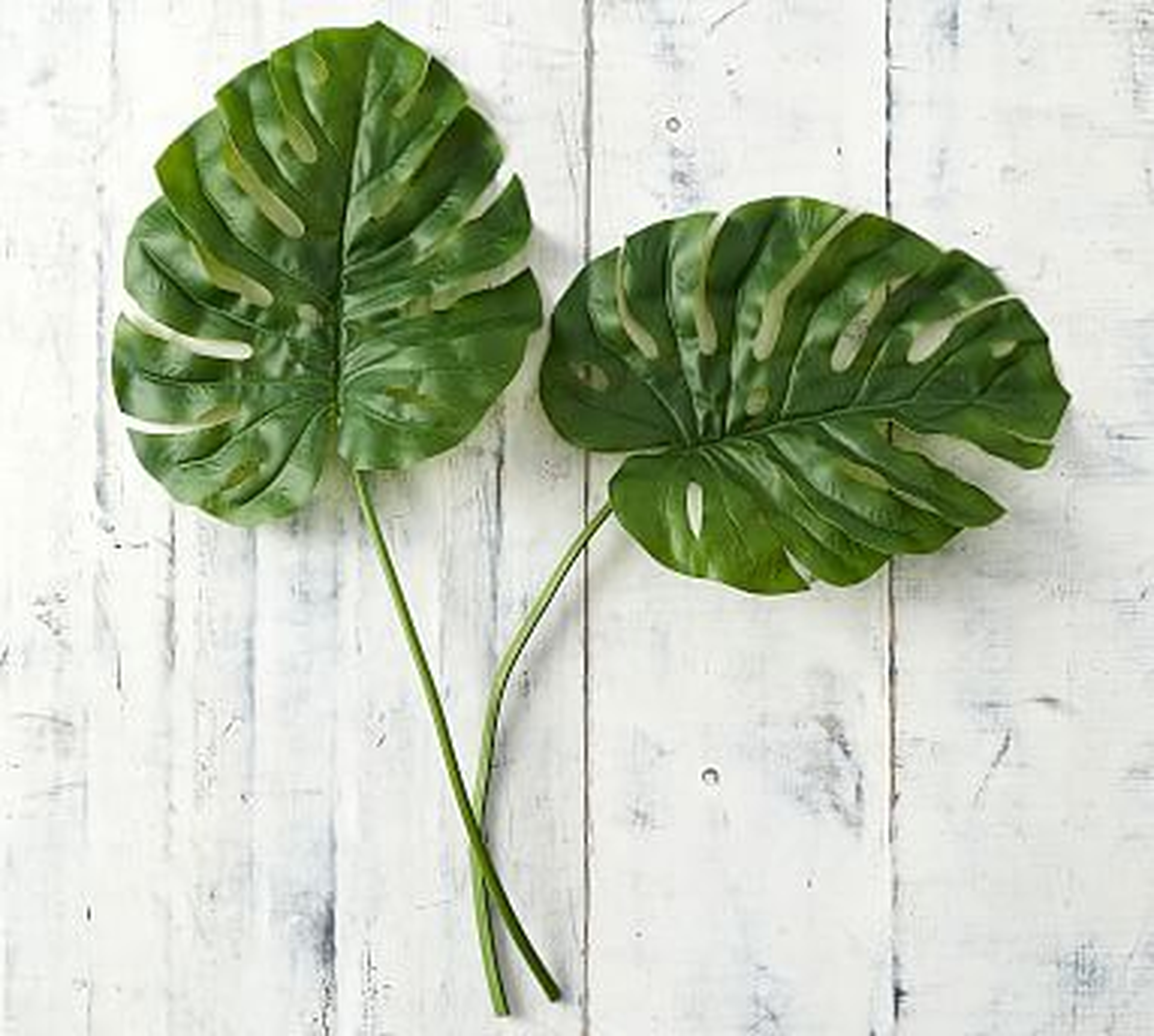 Philodendron Stem, Green, Large - Pottery Barn