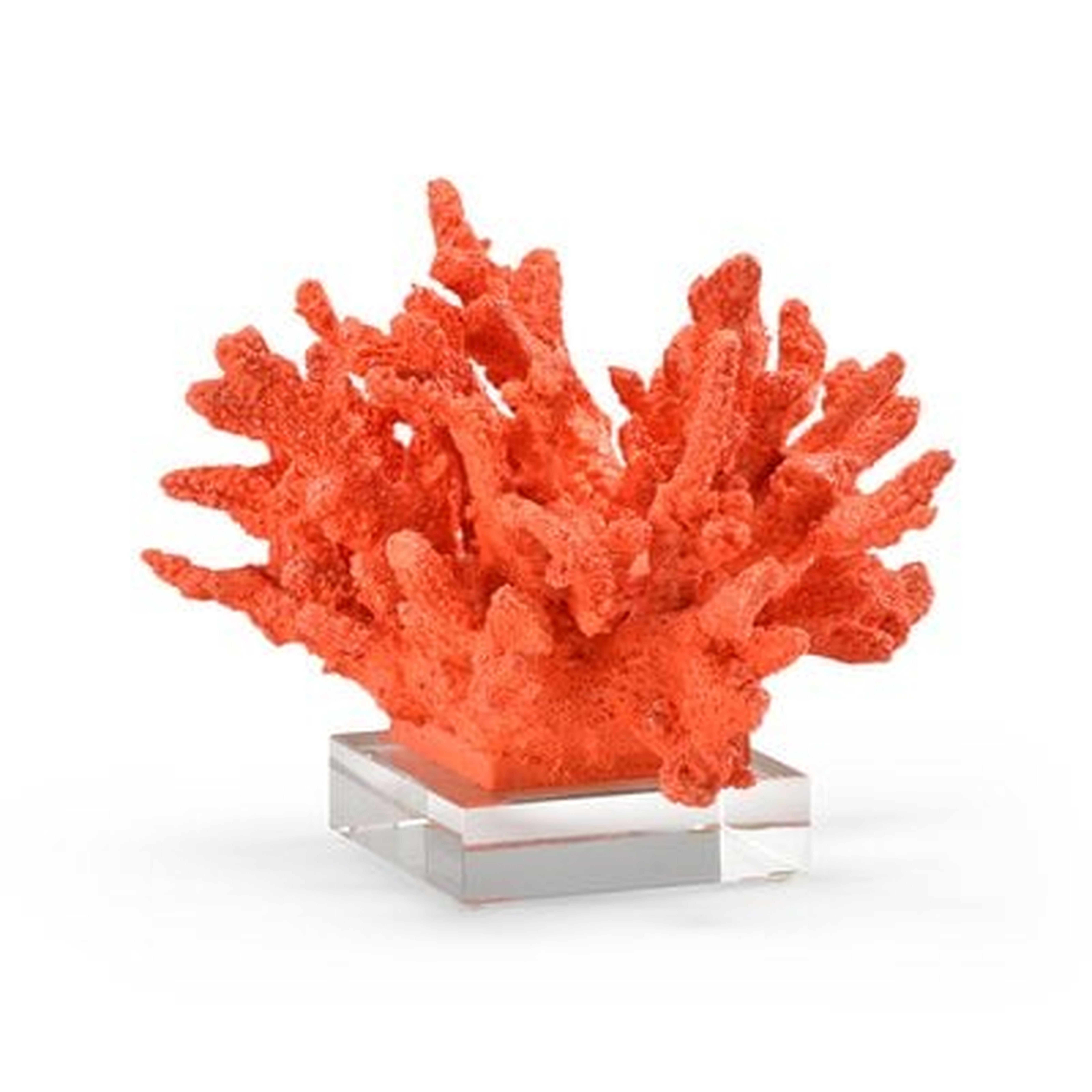 Coral Sculpture - Wayfair