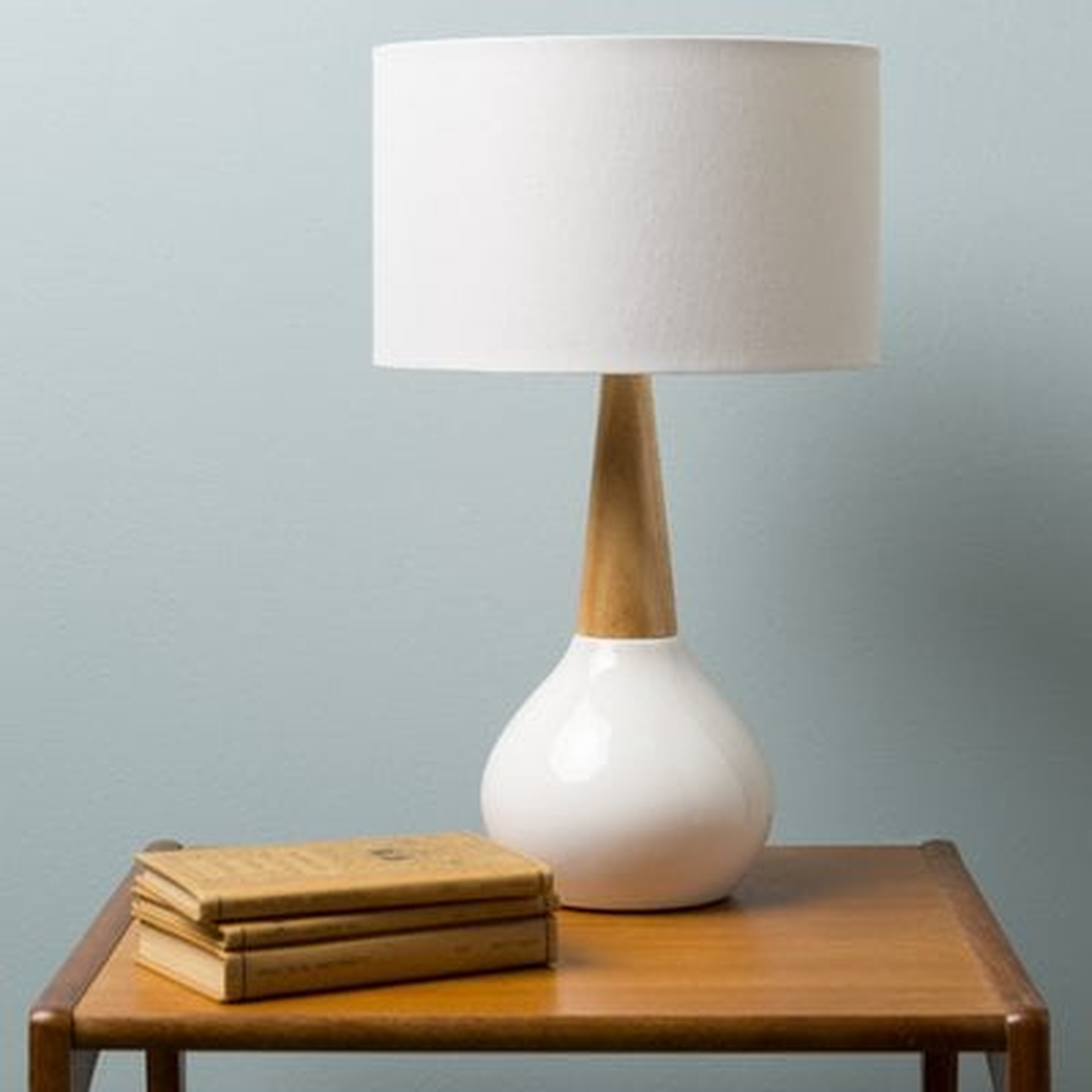 Scotia 19" Table Lamp - AllModern