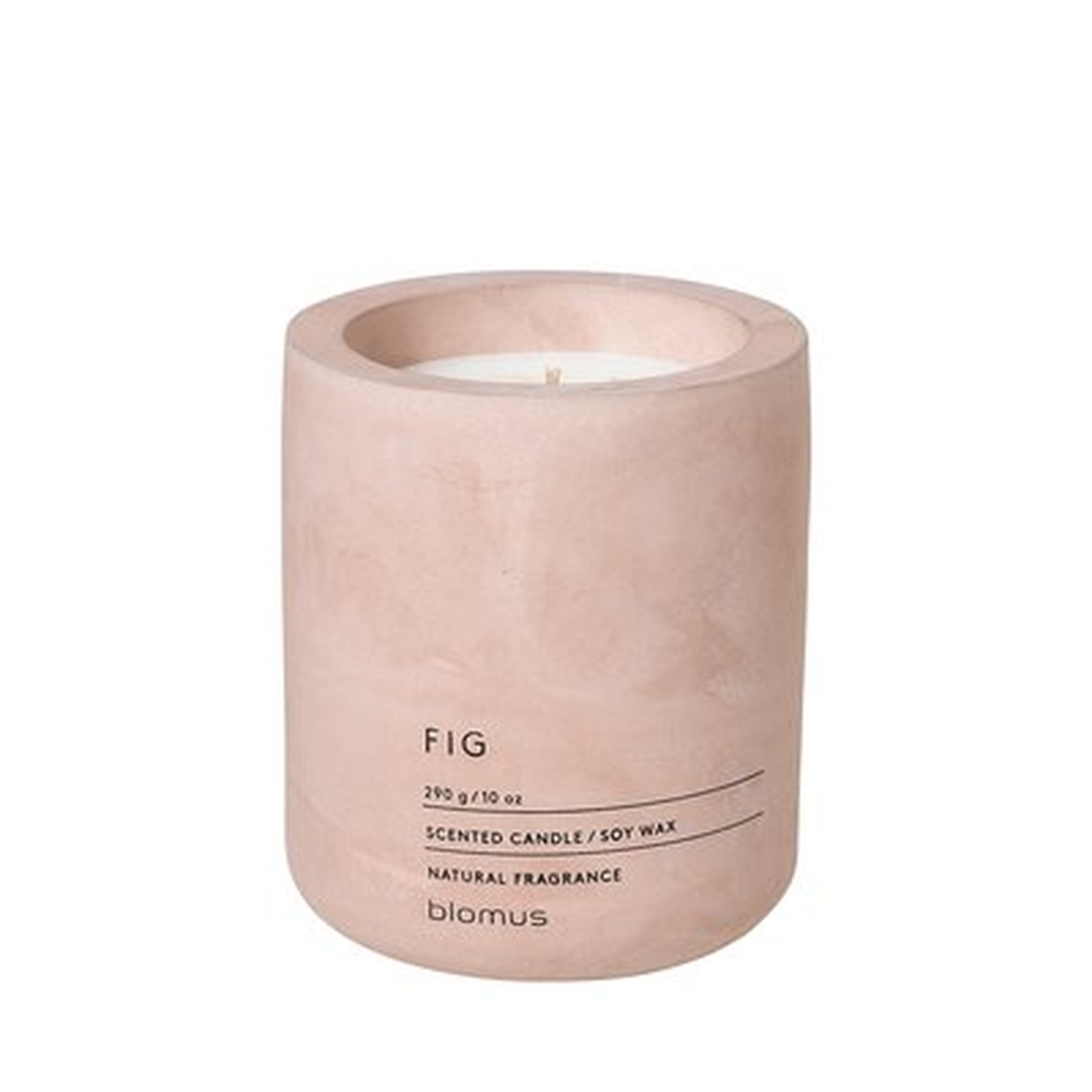 Fraga Fig Scented Jar Candle - Wayfair