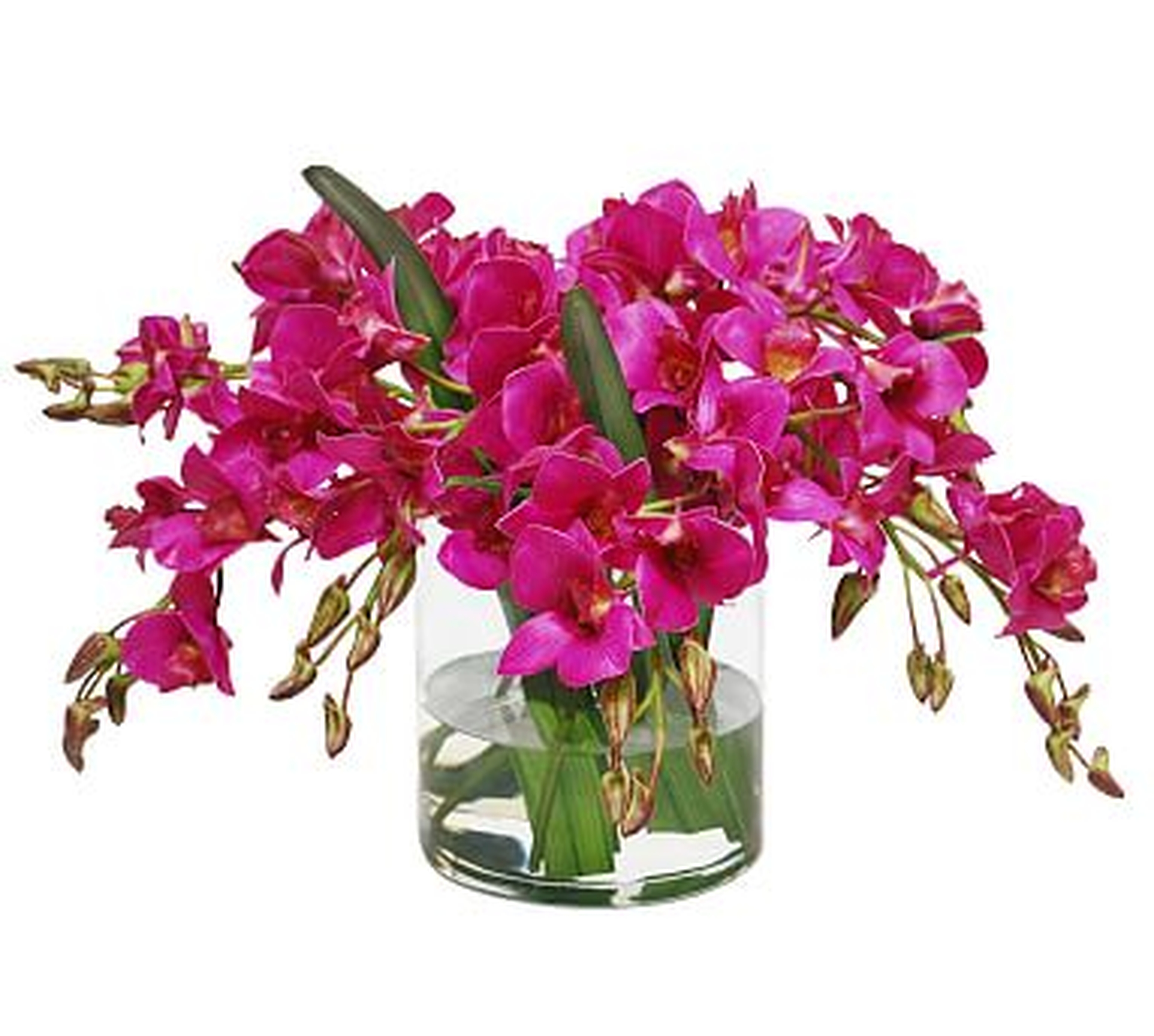 Faux Dendrobium in Cylinder Vase, Fuchsia - Pottery Barn