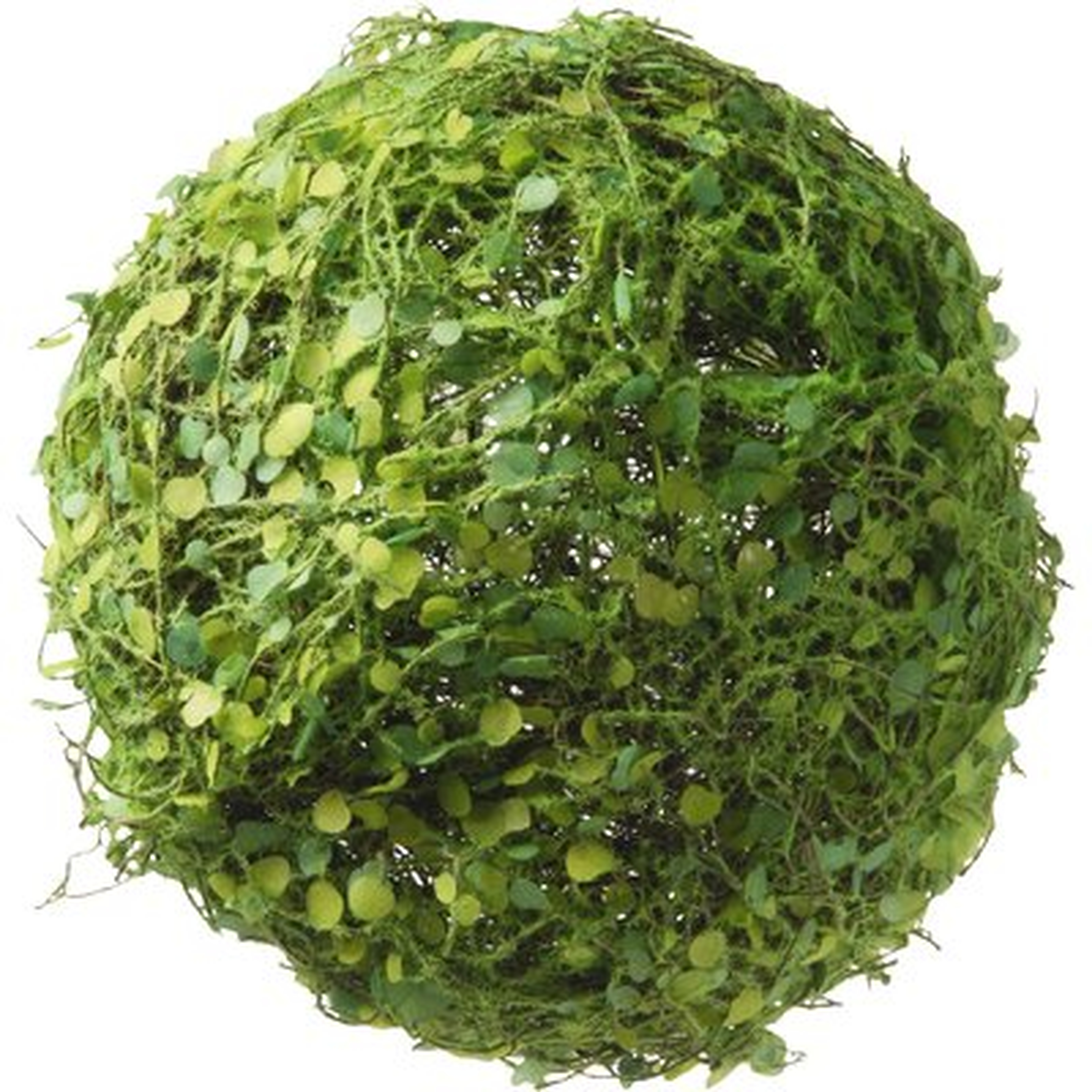 Decorative Moss and Leaves Ball - Birch Lane