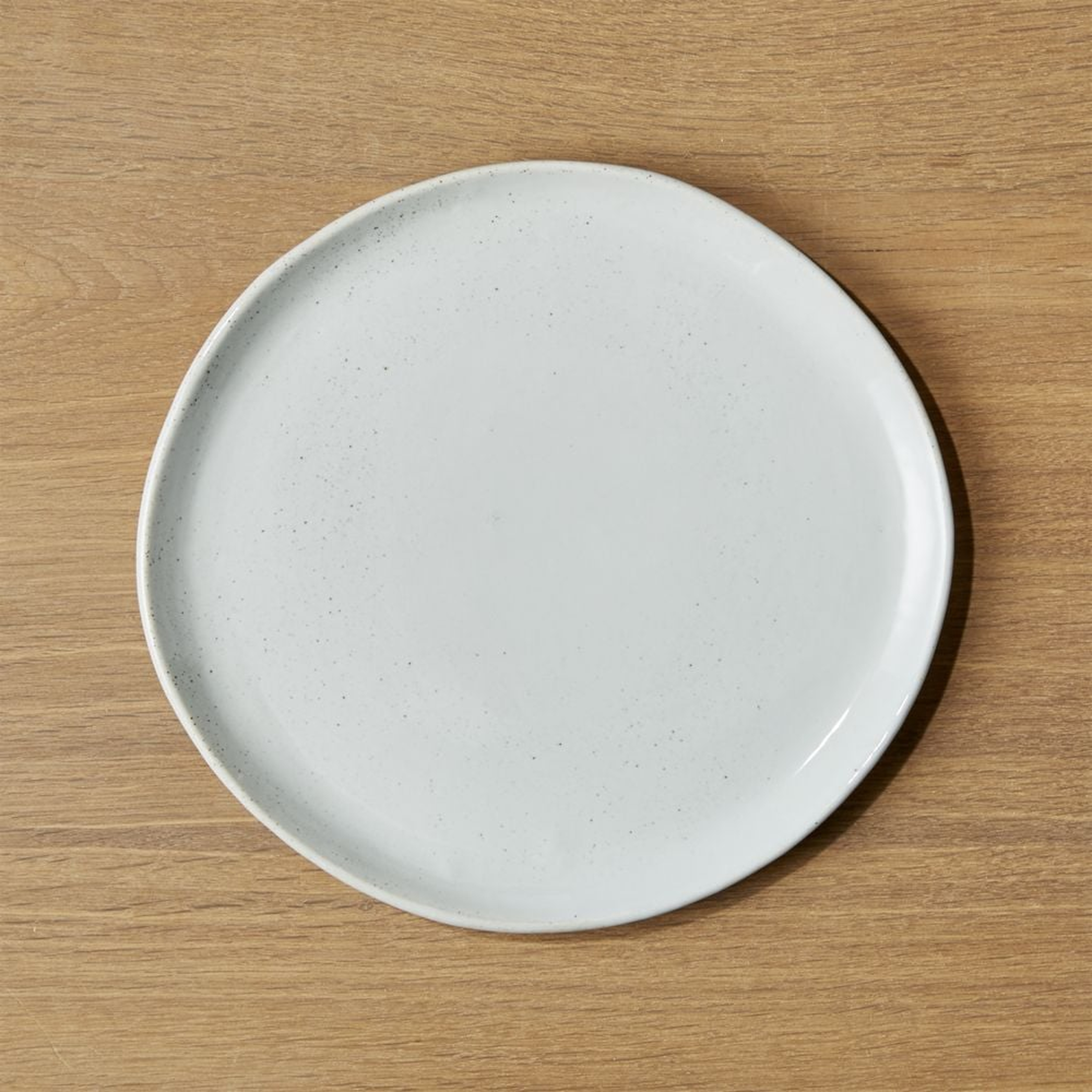 Welcome II Dinner Plate - Crate and Barrel