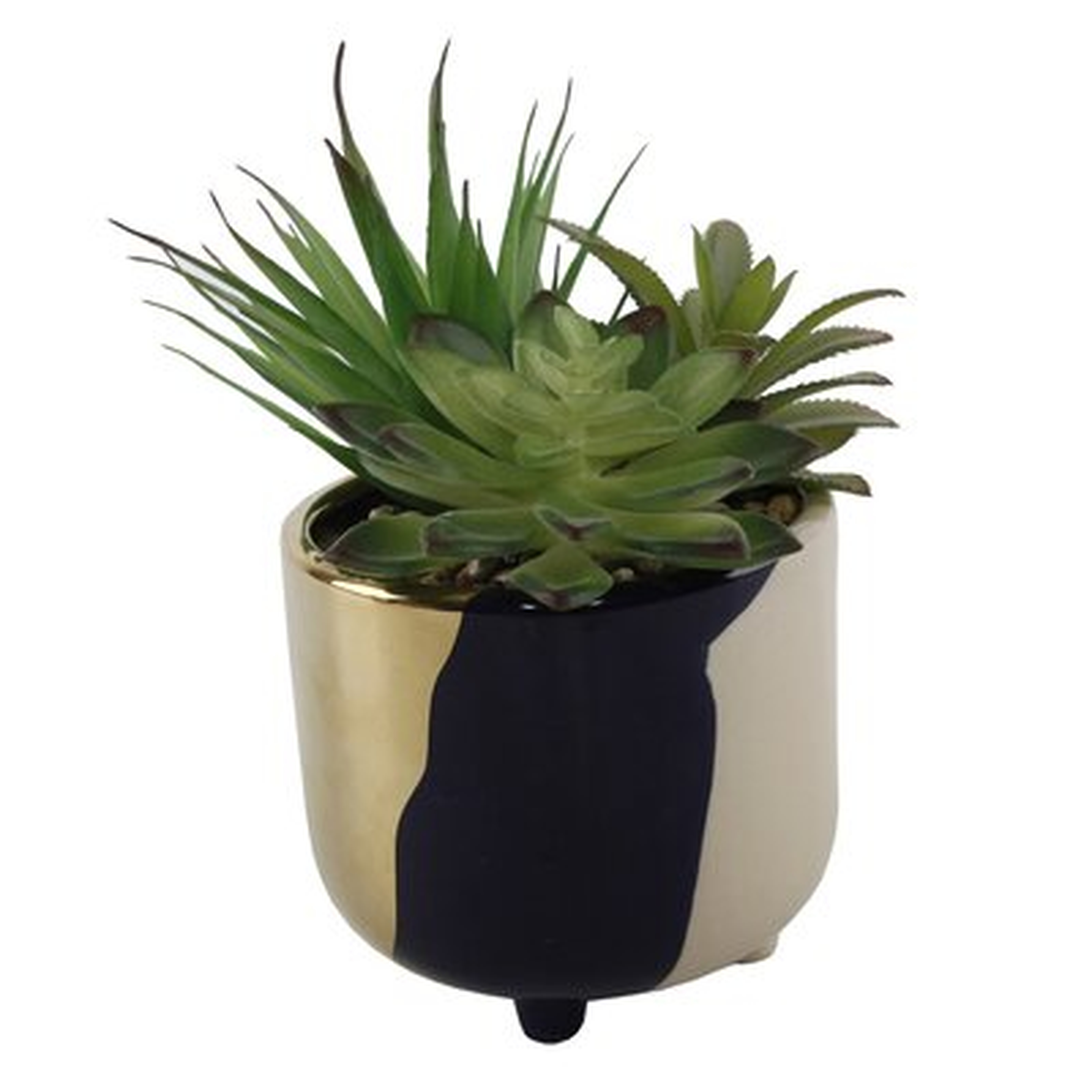 Garden Tone Footed Ceramic Cactus/Agave Succulent in Pot - Wayfair