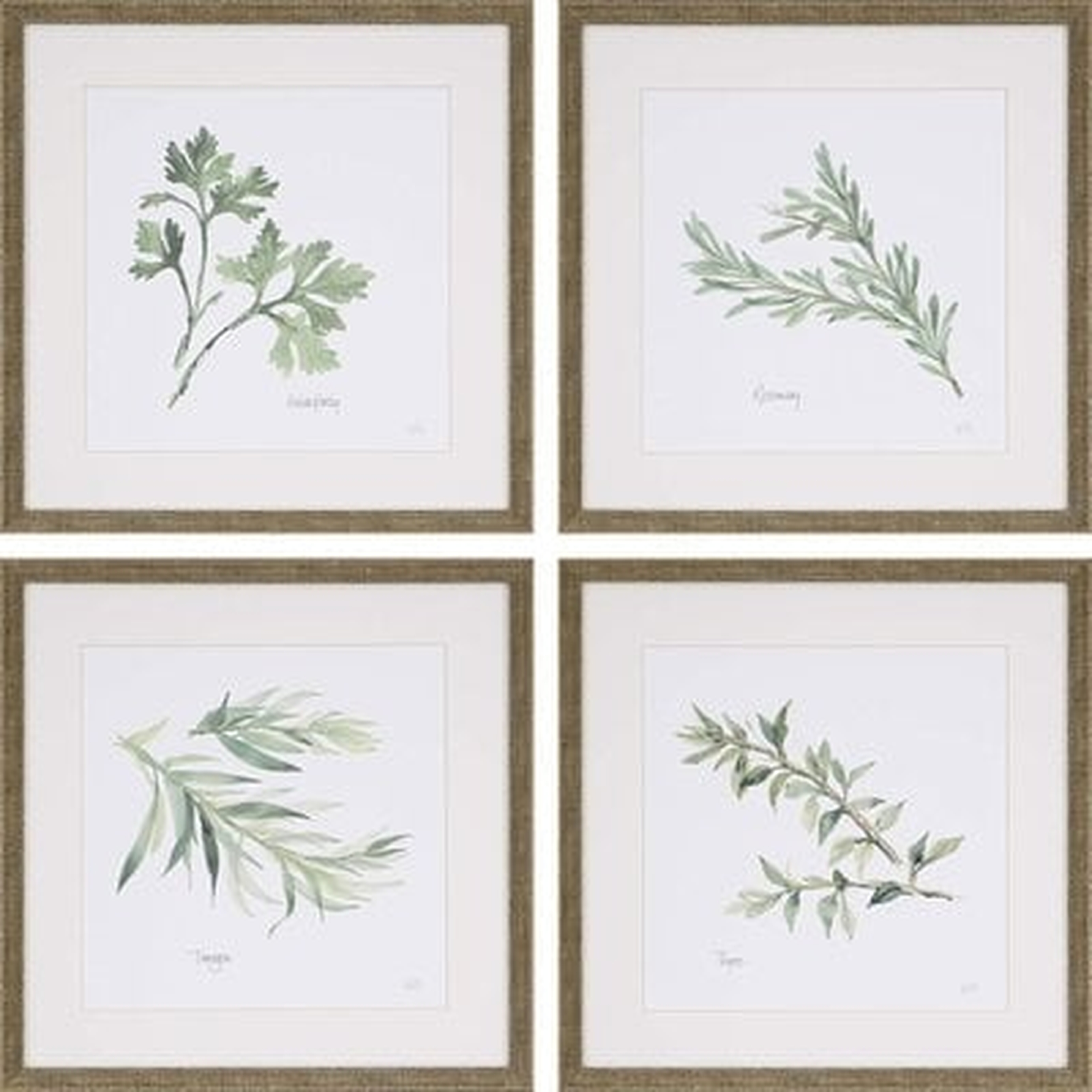 'Herbs' 4 Piece Picture Frame Graphic Art Set - Birch Lane