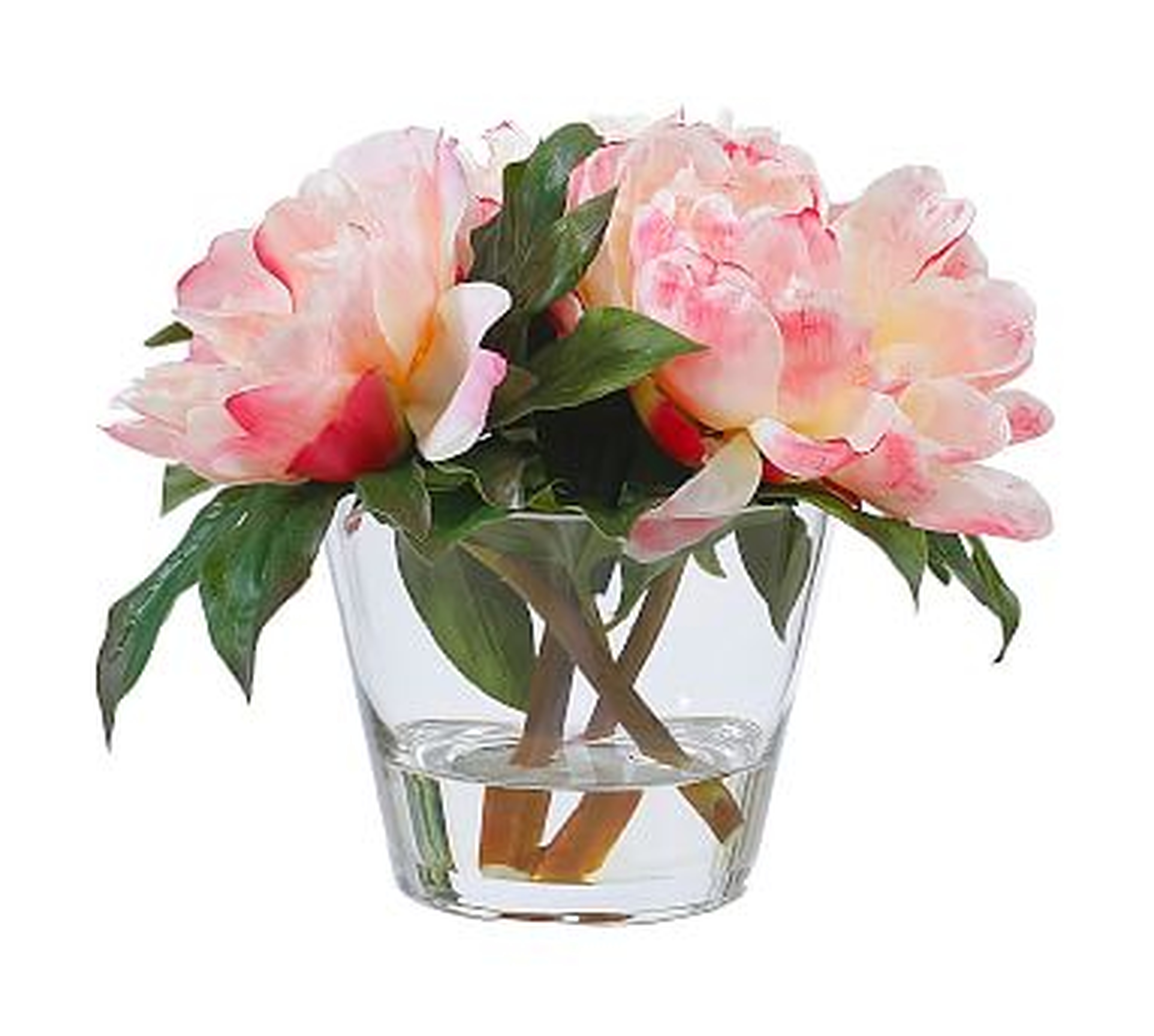 Faux Peonies In Round Glass Vase - Pottery Barn
