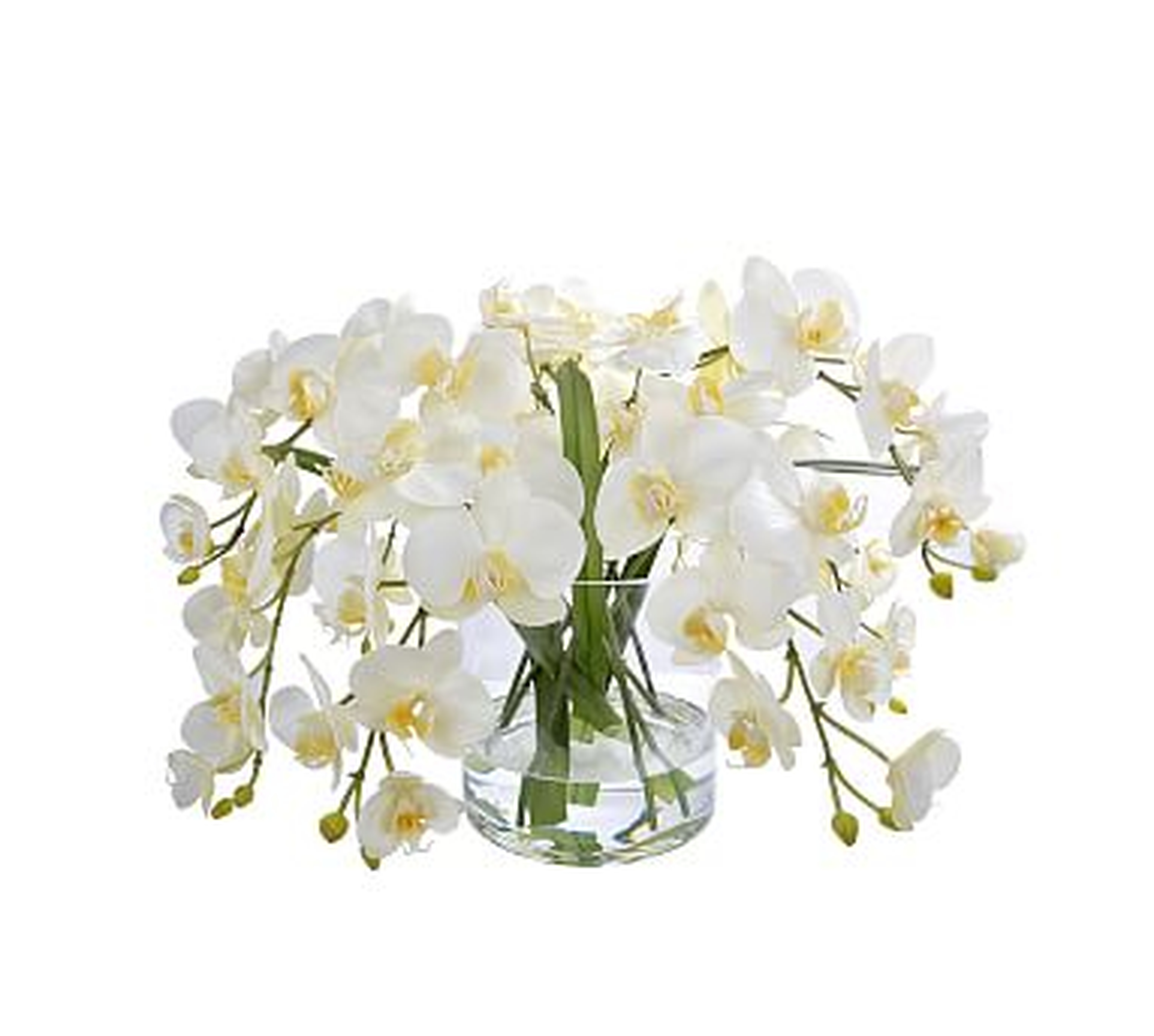 Faux Orchid Phalaenopsis In Round Glass Vase, White - Pottery Barn
