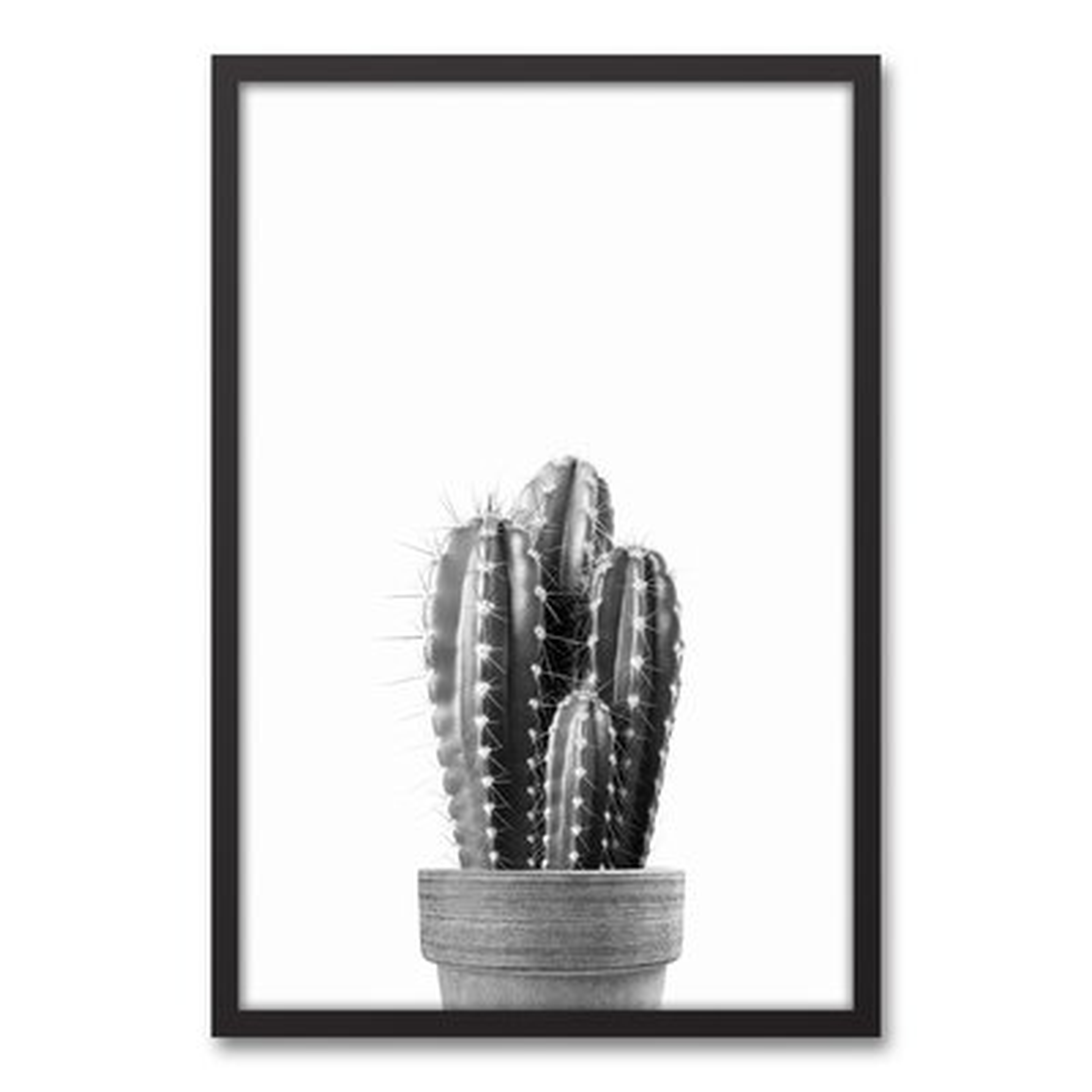 'Black And White Vintage Cactus' Framed Photograph On Canvas - Wayfair