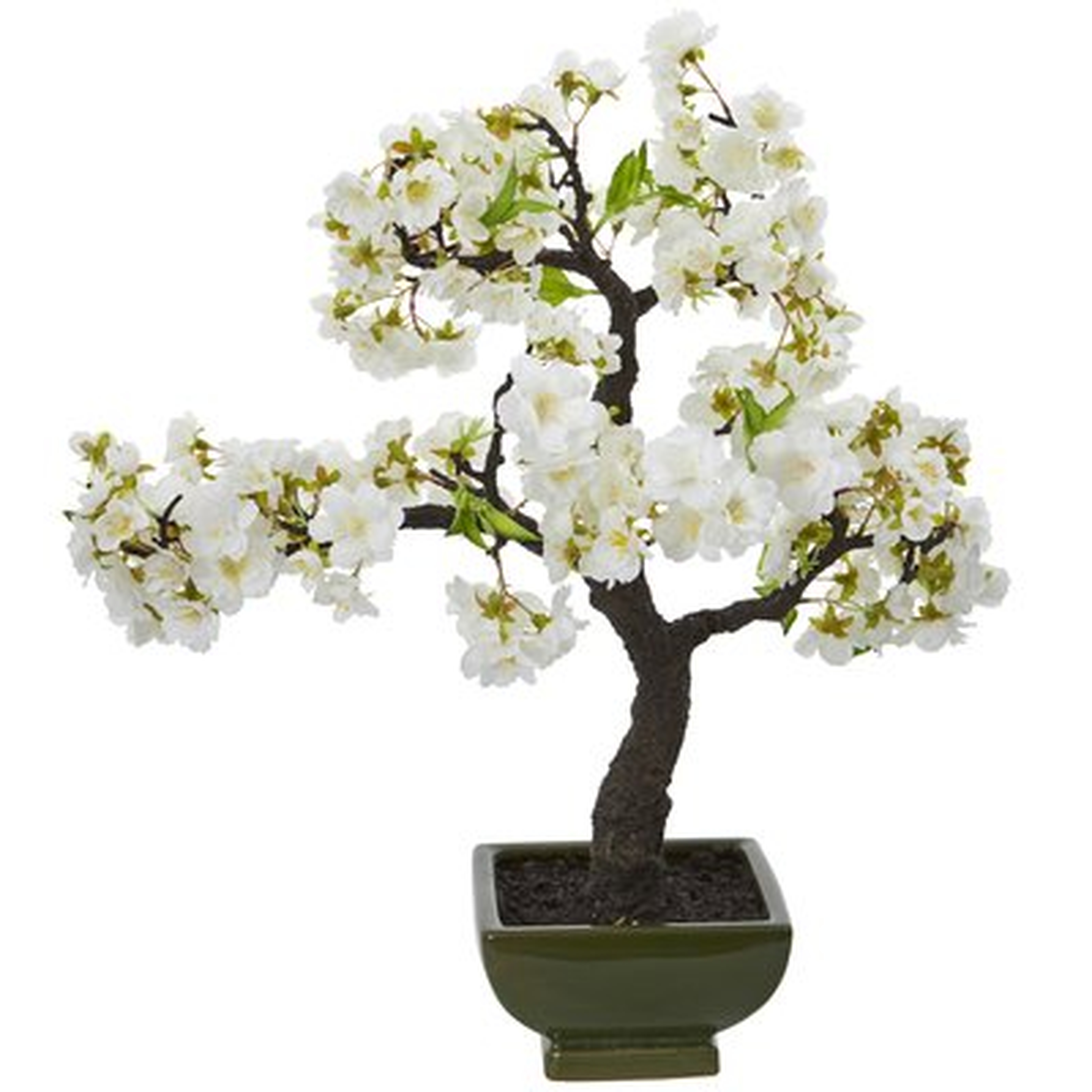 Cherry Blossom Flowering Bonsai Tree - Wayfair
