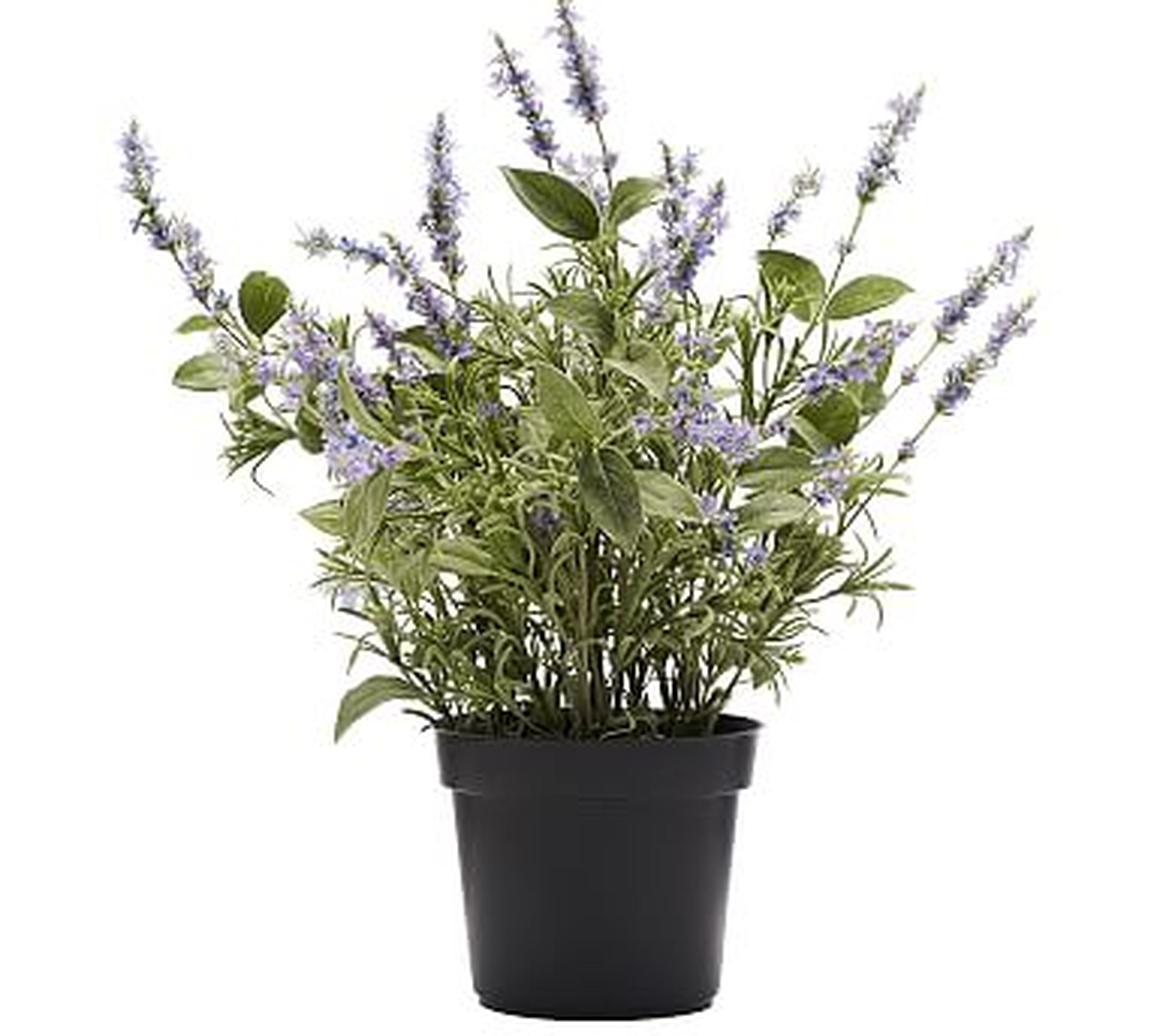 Faux Potted Lavender - Large - Pottery Barn