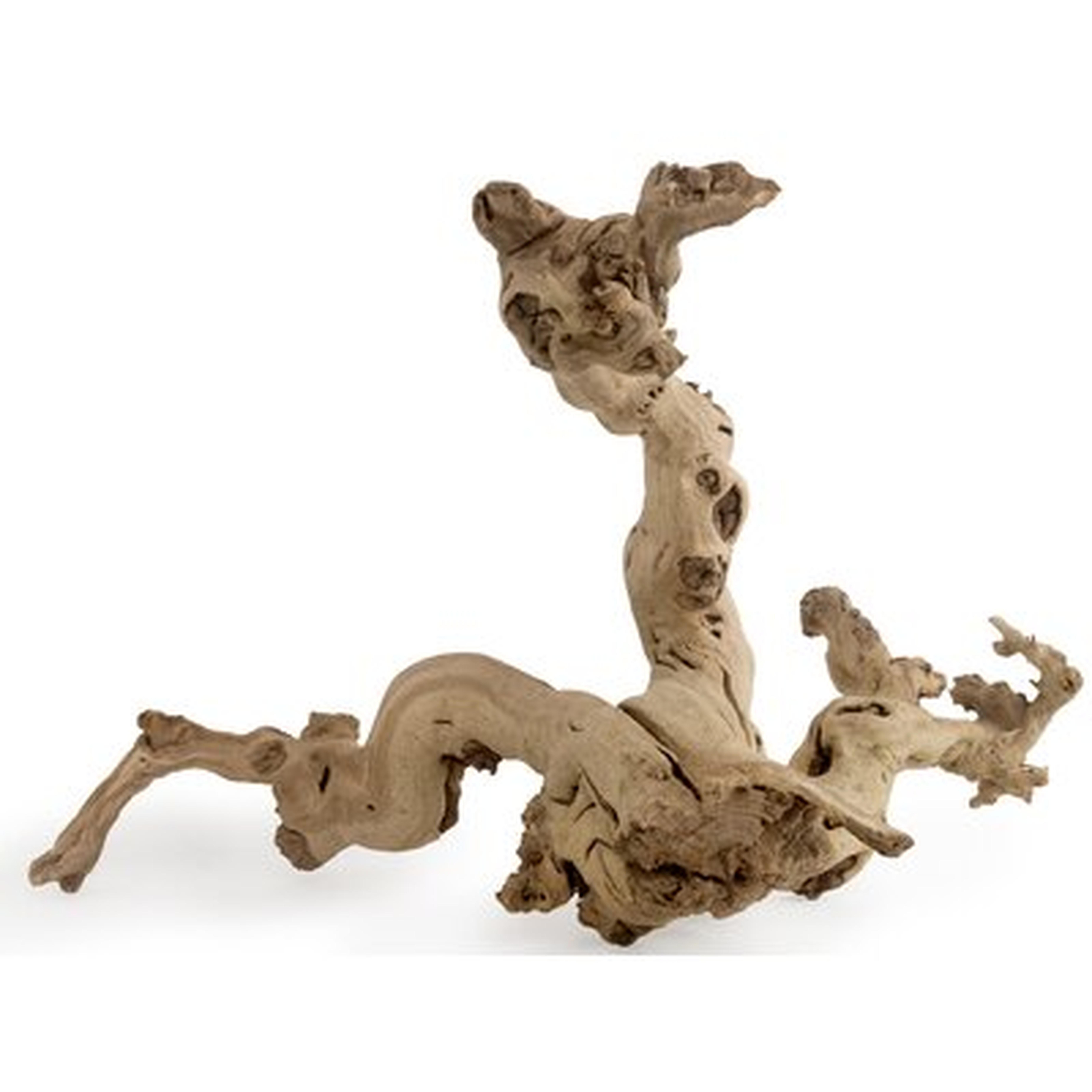 Adrik Grapewood Vine Sculpture - Wayfair