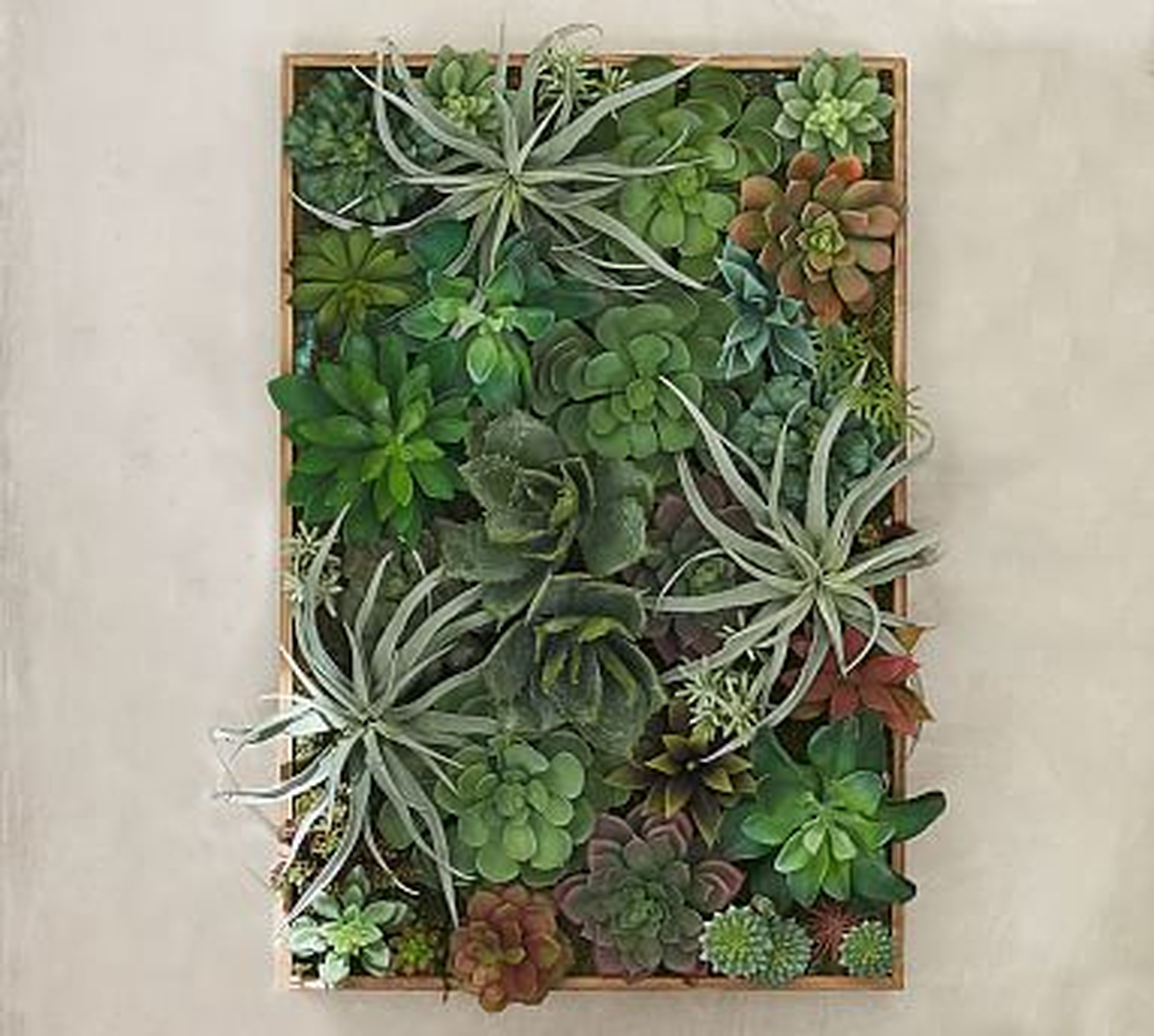 Succulent Wall, Green, Large - Pottery Barn