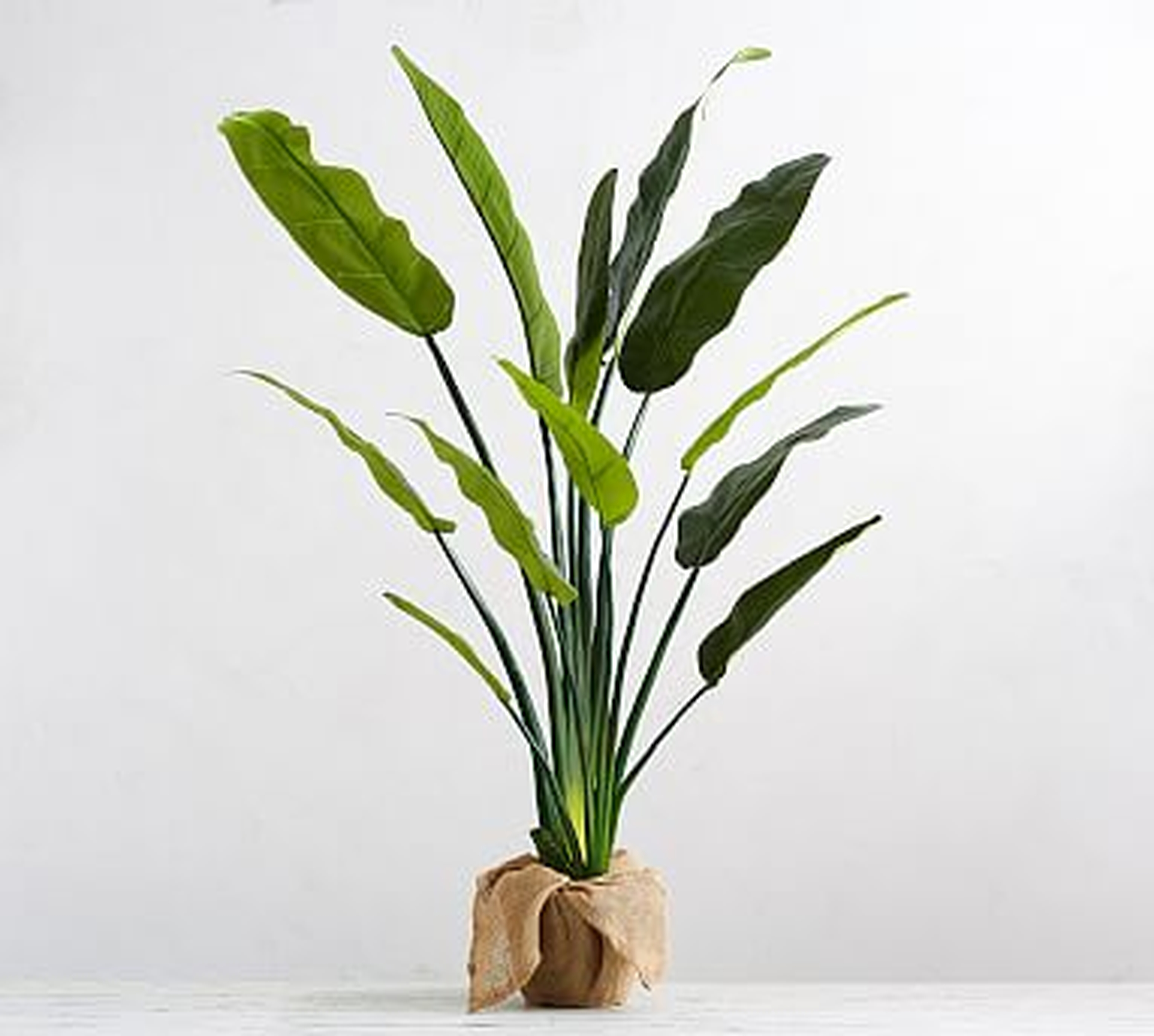 Faux Potted Bird of Paradise Palm Tree - Pottery Barn