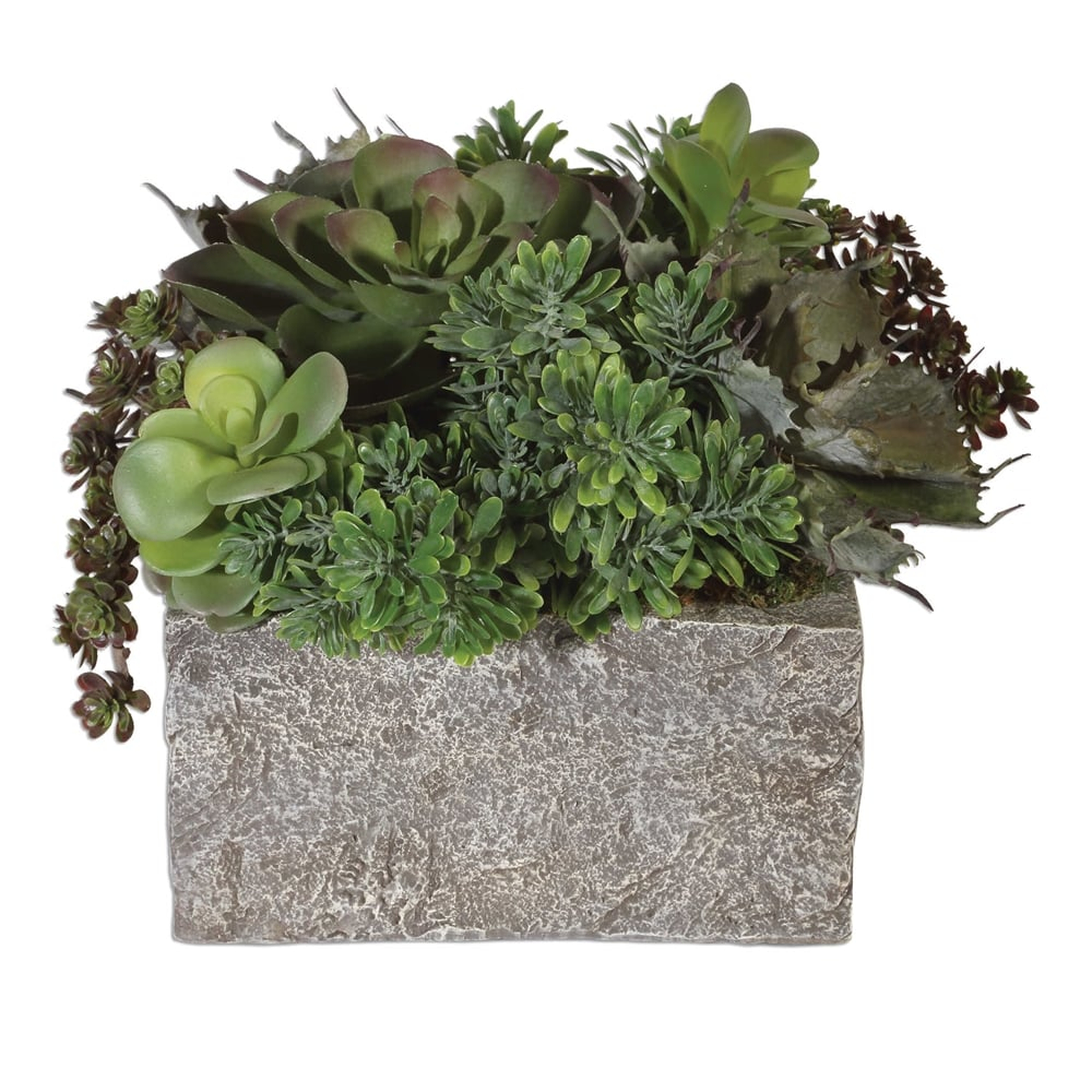 Black Rock Desert Succulents - Uttermost